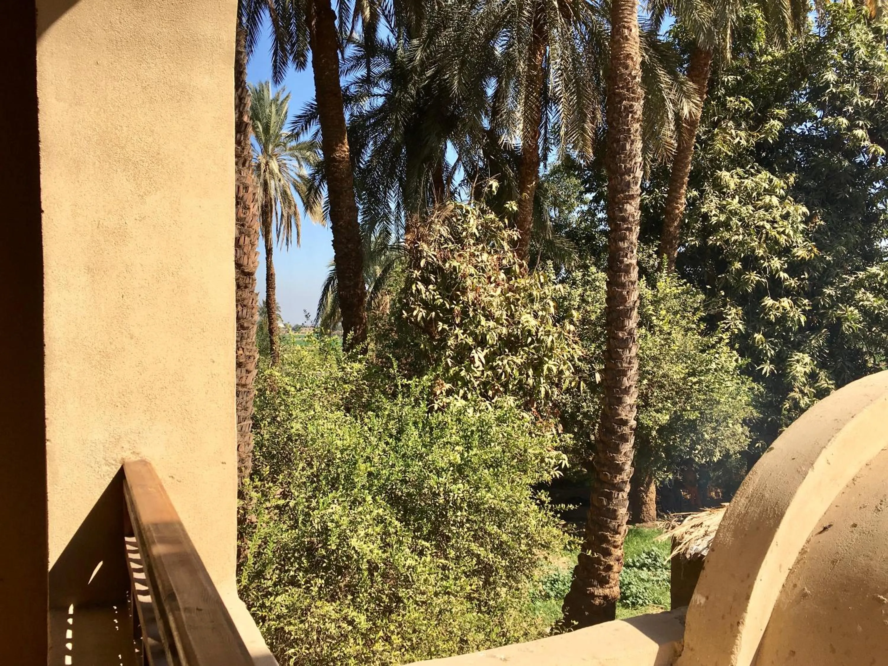 Garden view in Djorff Palace