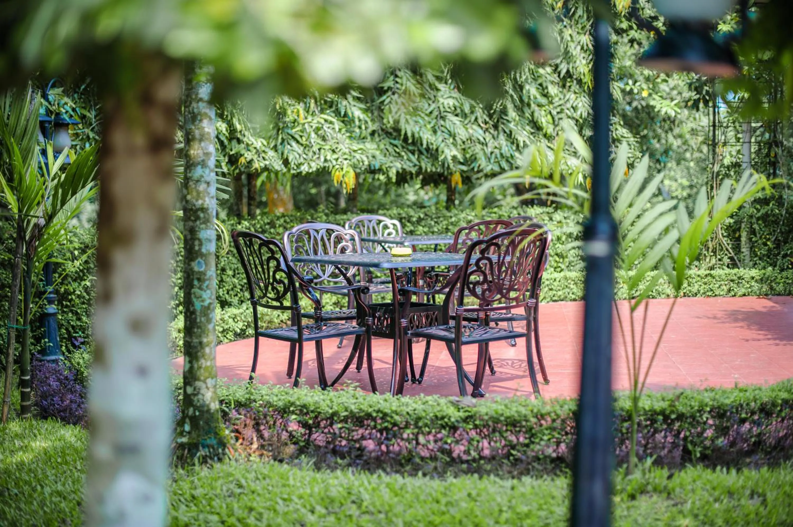 Grand Sultan Tea Resort & Golf