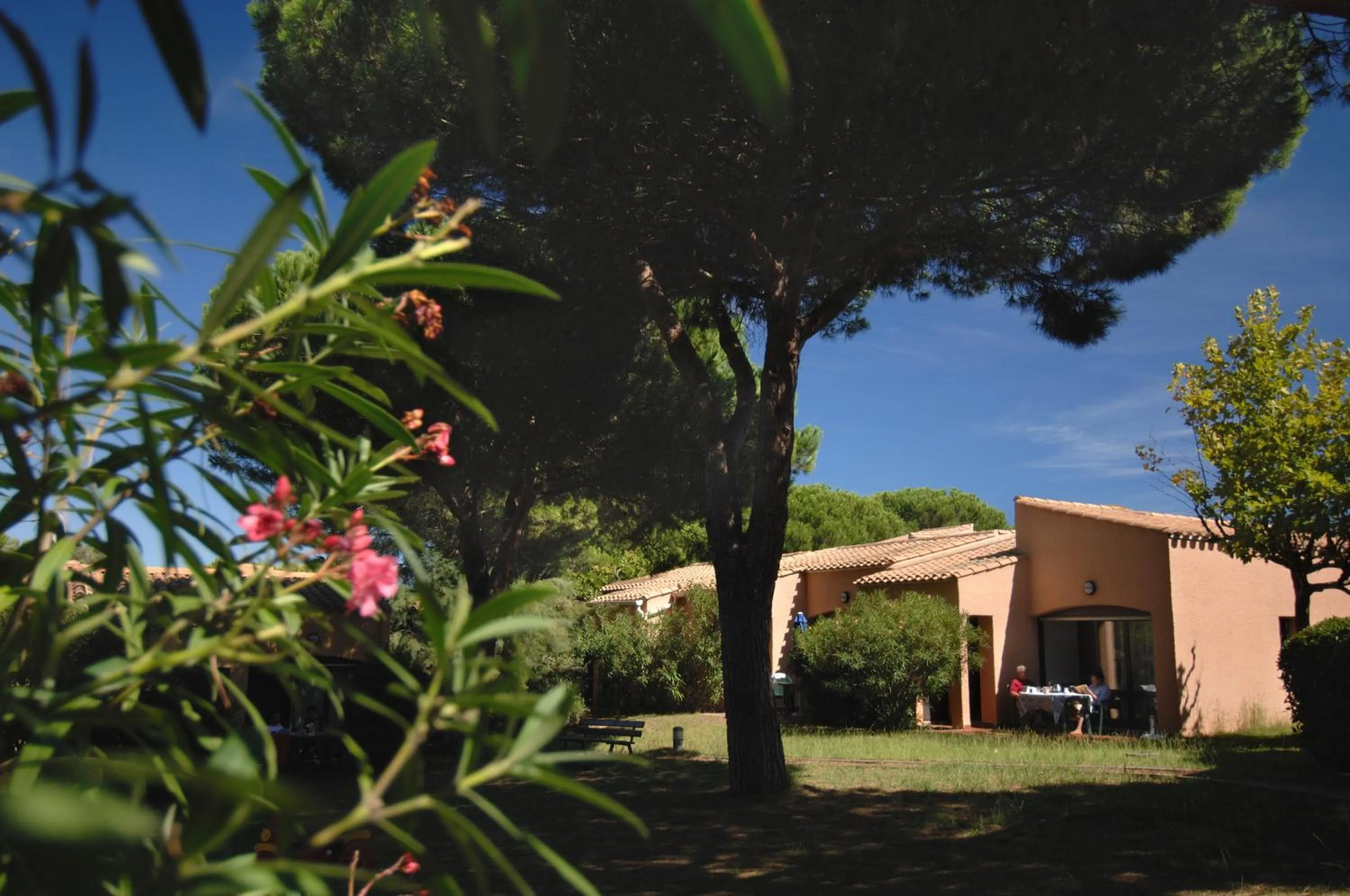 Garden in Résidence Odalys Saint Loup