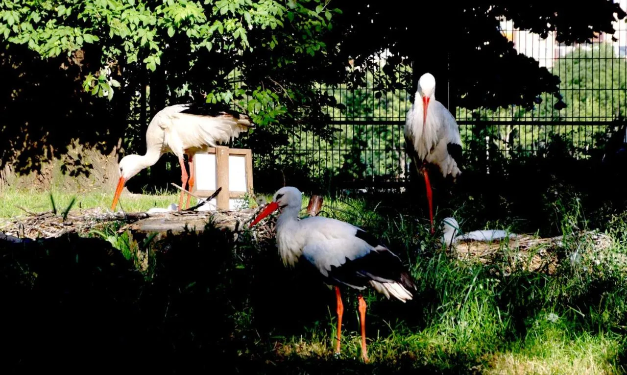 Neighbourhood in Island Hostel Budapest