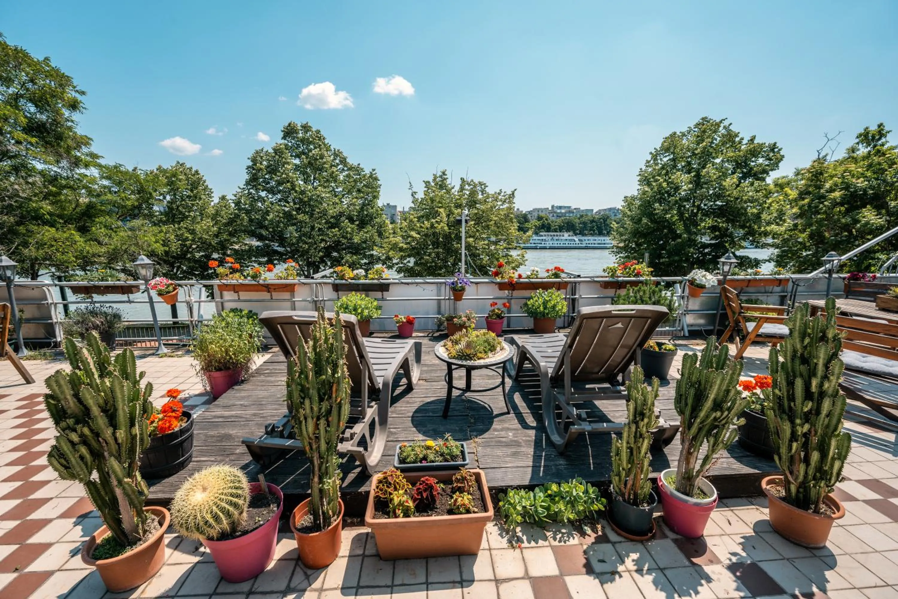 Spring in Island Hostel Budapest