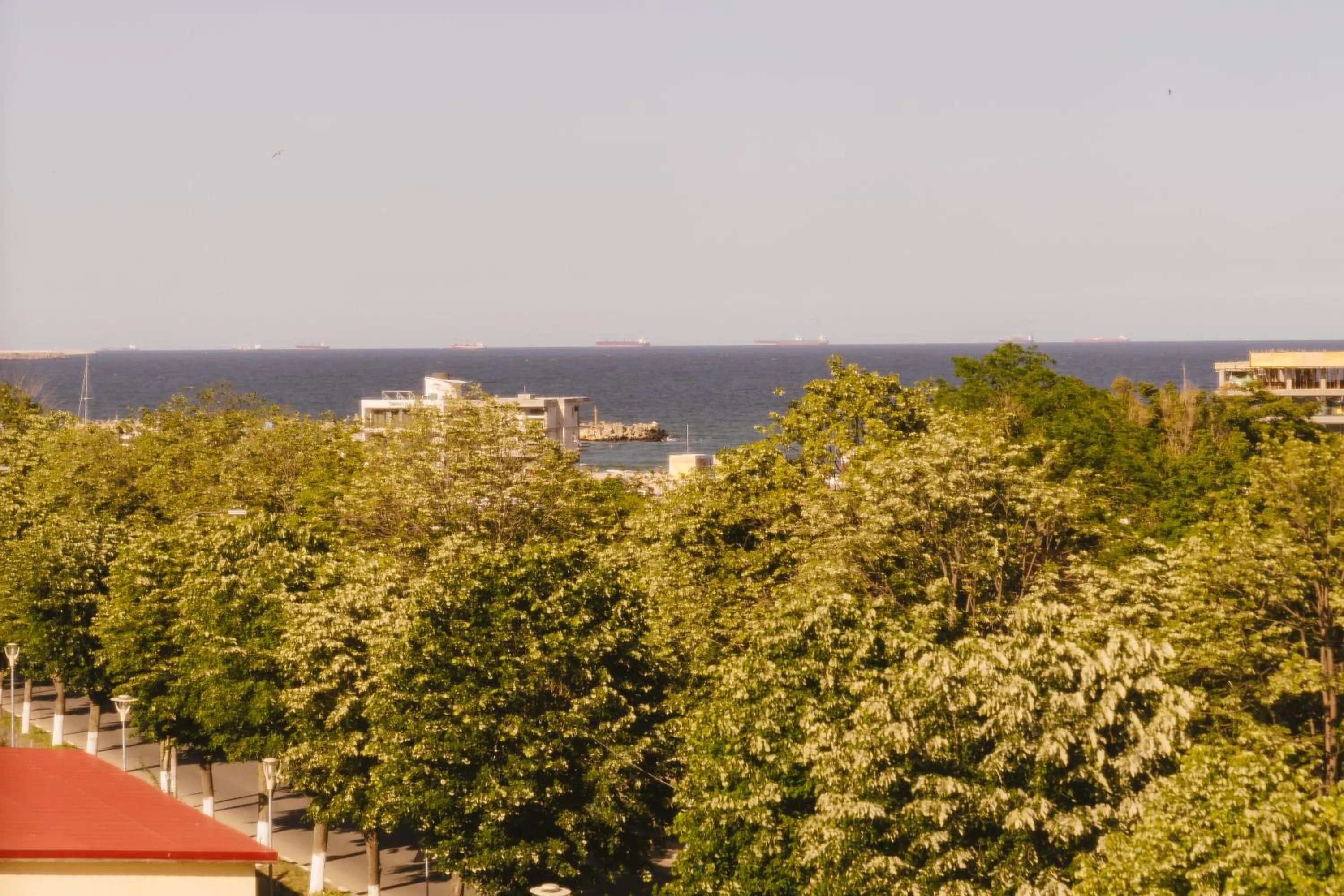 View (from property/room) in Hotel Belvedere