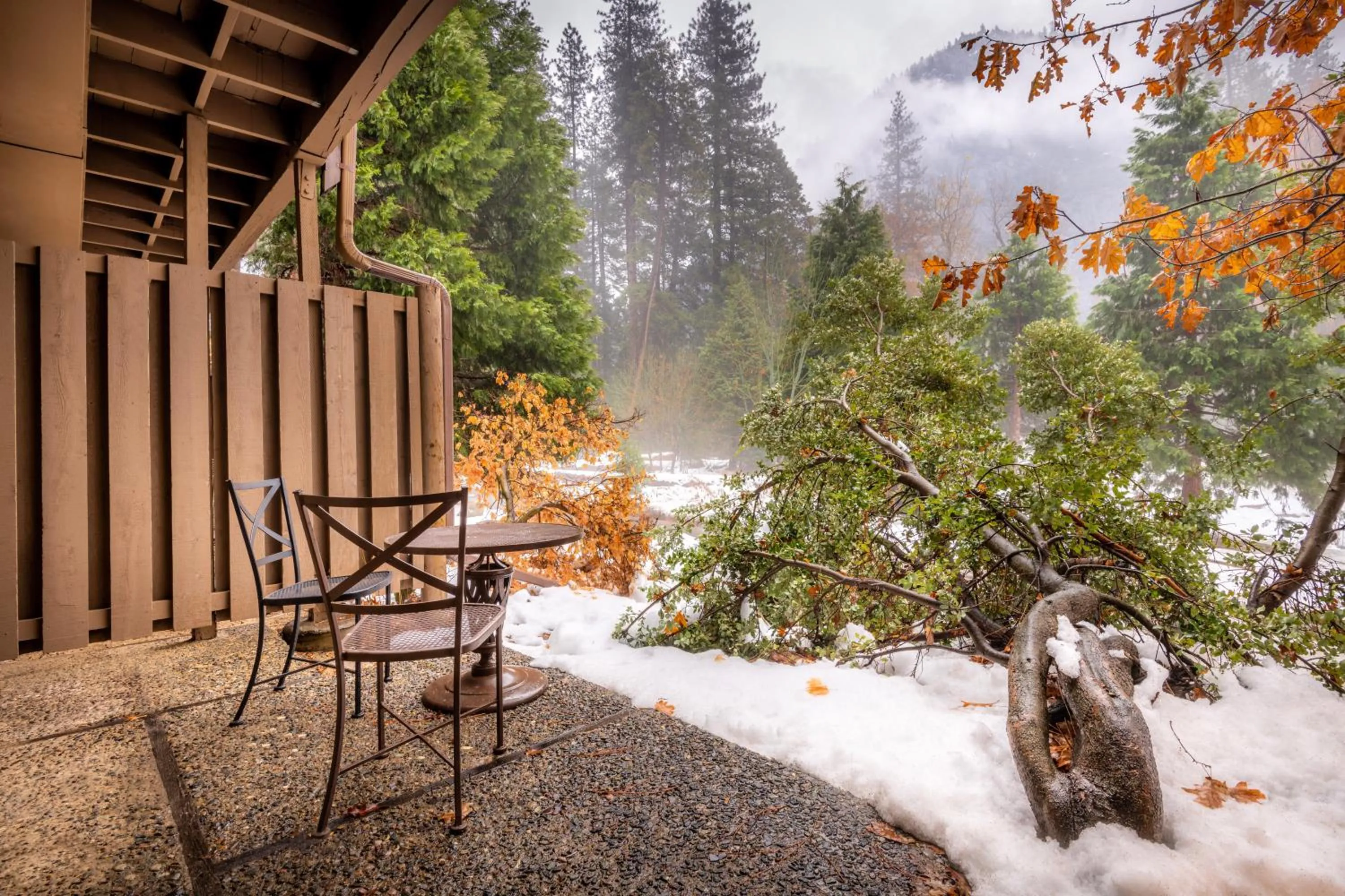 Natural landscape in Yosemite Valley Lodge