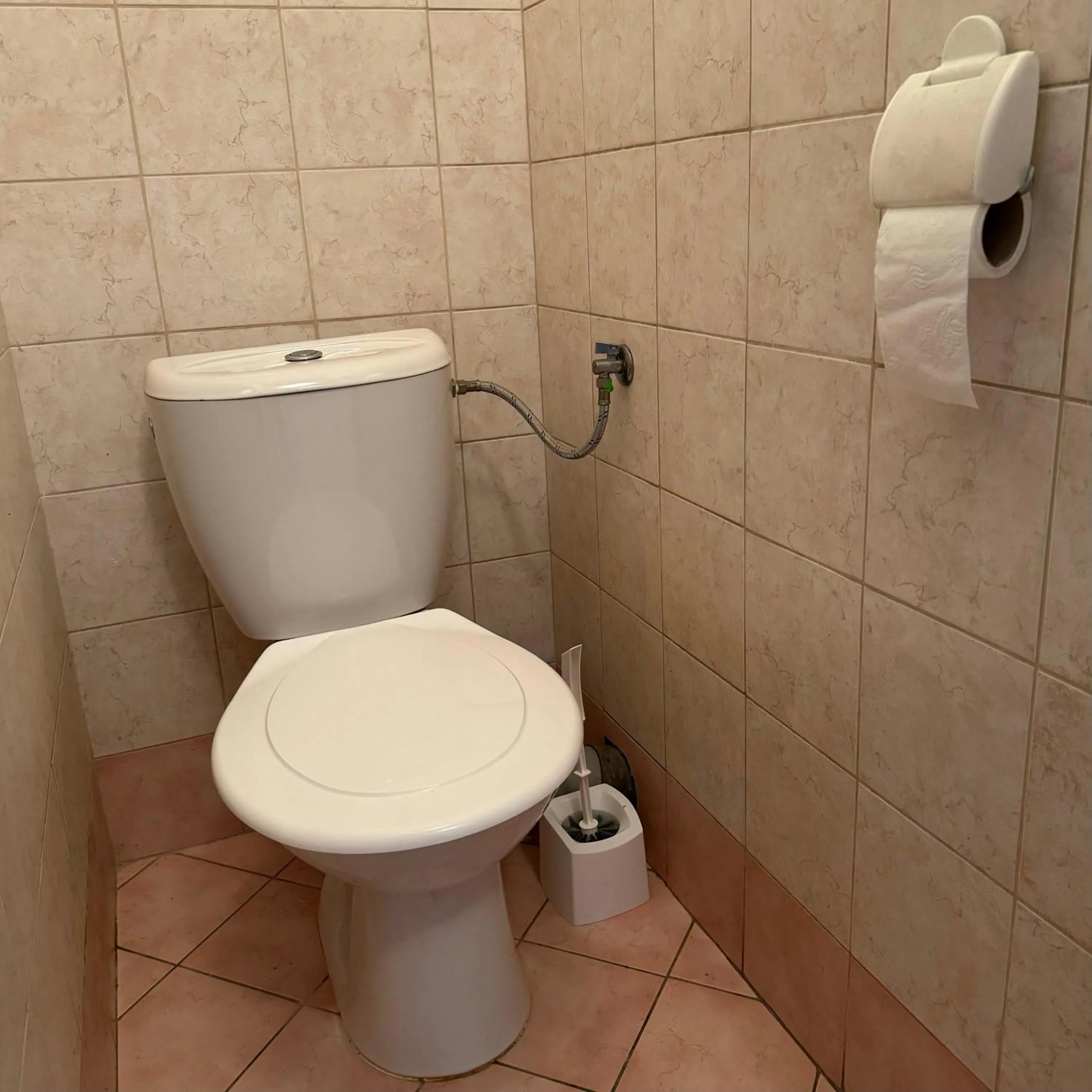 Toilet in Hotel Avion