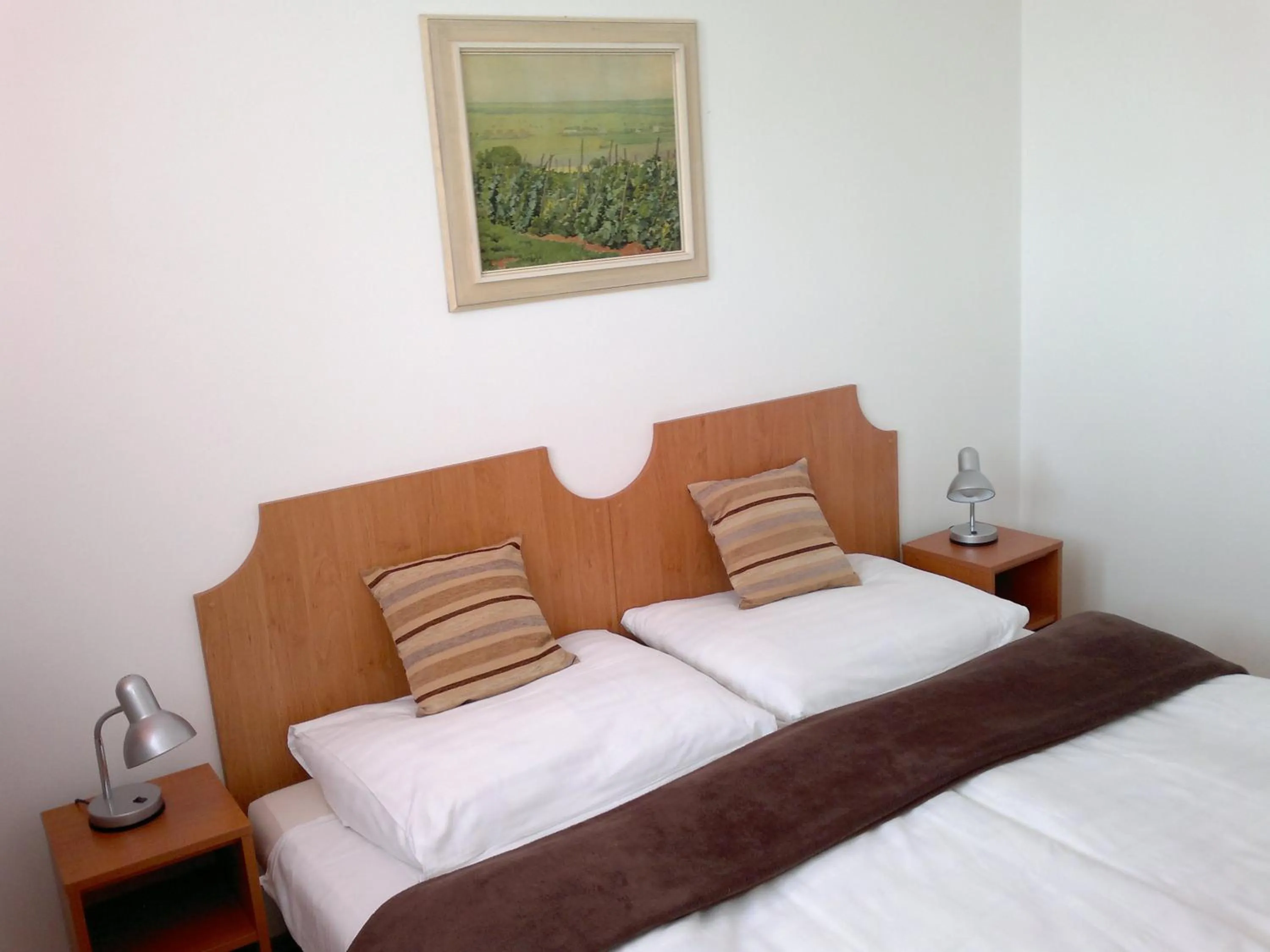 Photo of the whole room, Bed in Hotel Avion