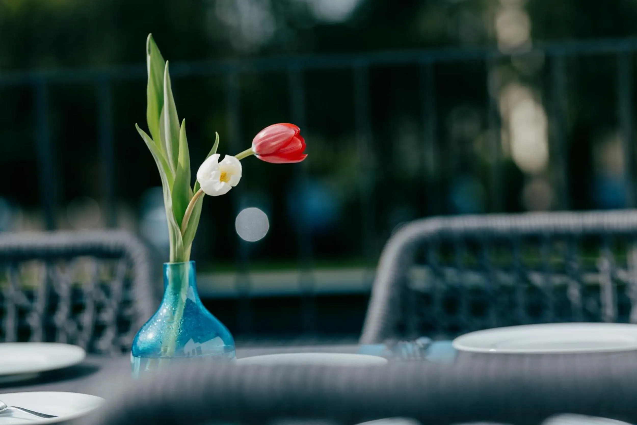 Spring in Aqua Blu Hotel