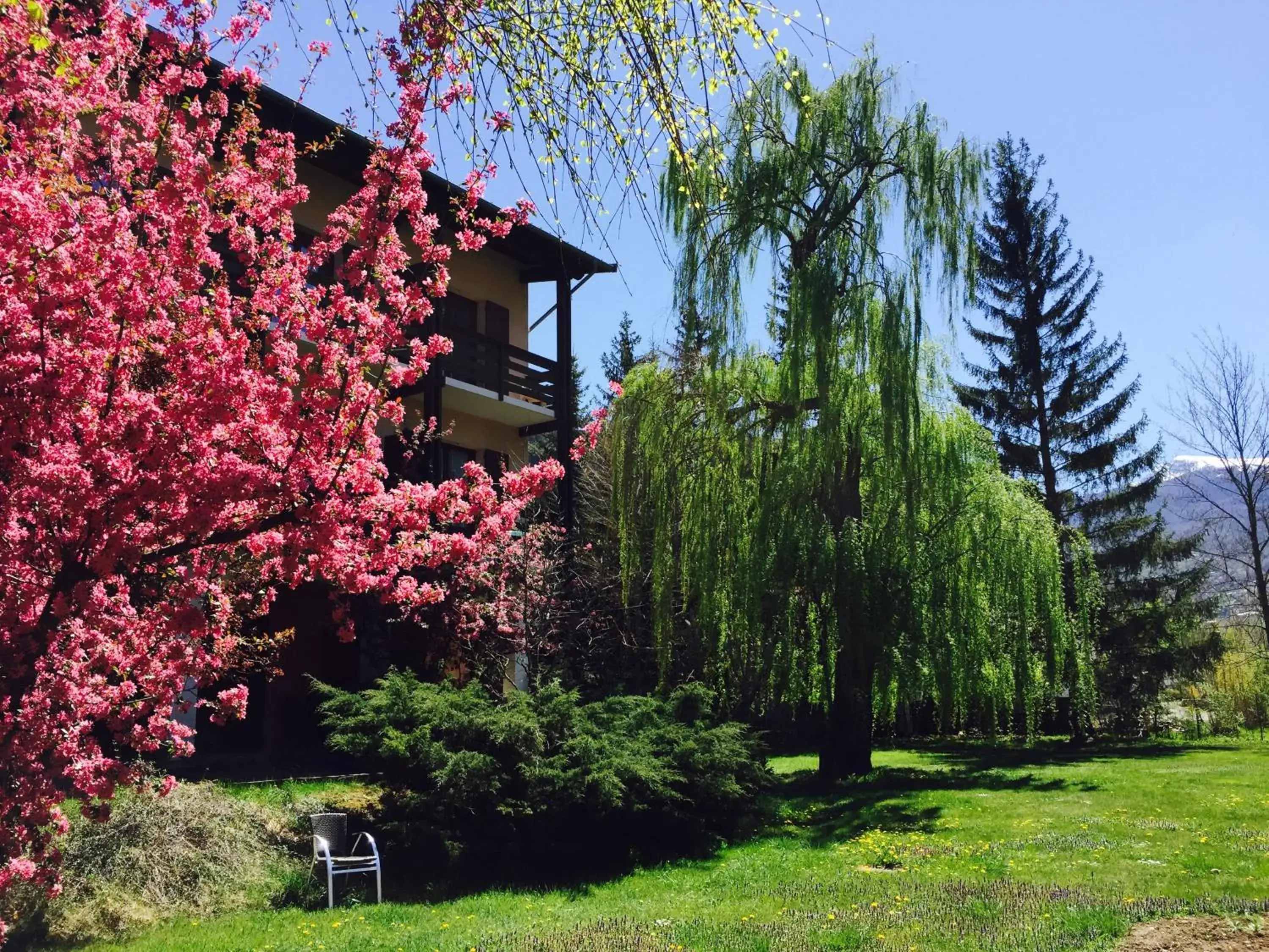 Twin Room with Garden View in Hôtel Lacour Twin Room with Garden View in Hôtel Lacour