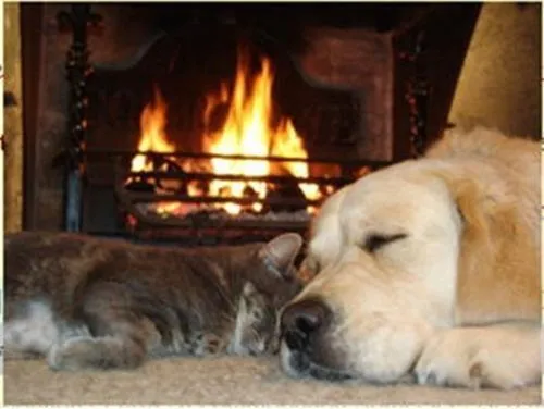 Other in Double-Gate B&B