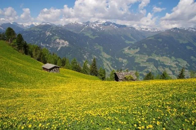 Natural landscape in Hotel Sportalm