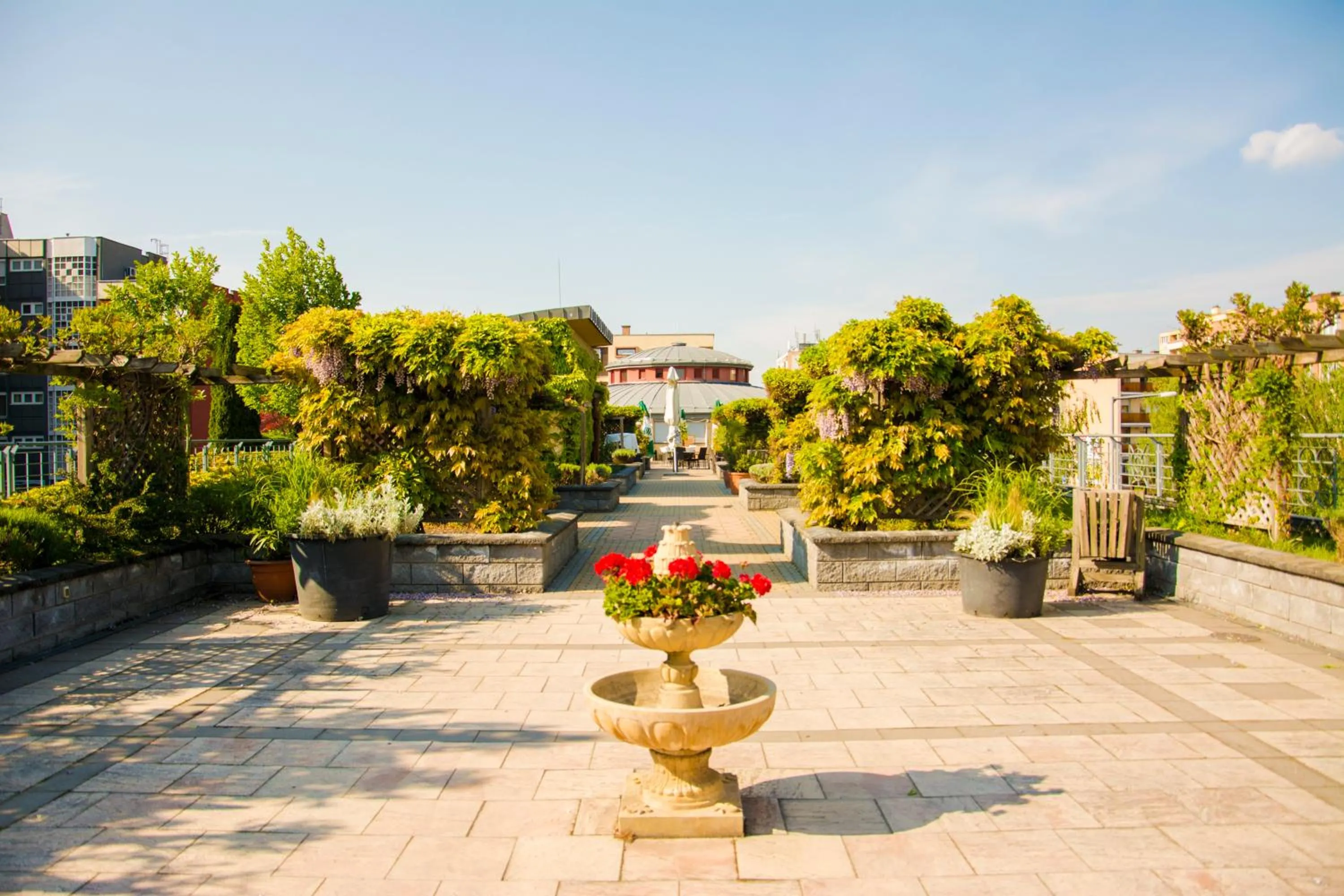Garden in Corner Motel
