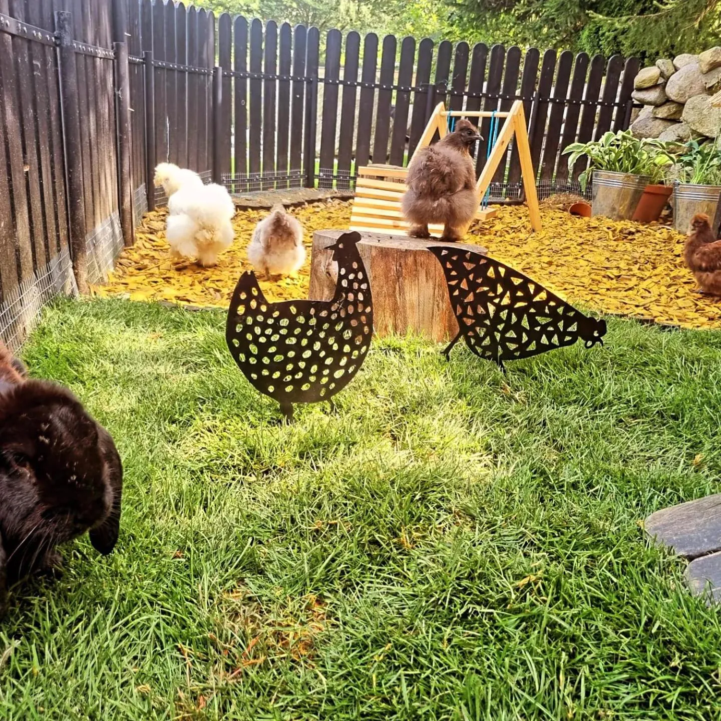 Garden in Walizka Wspomnień