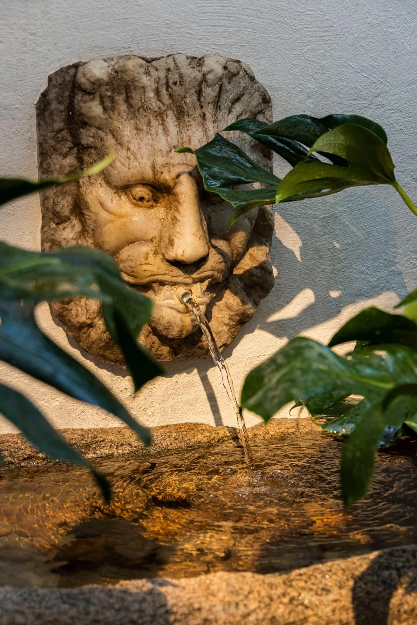 Patio in Casa de Triana Luxury Suites by Casa del Poeta