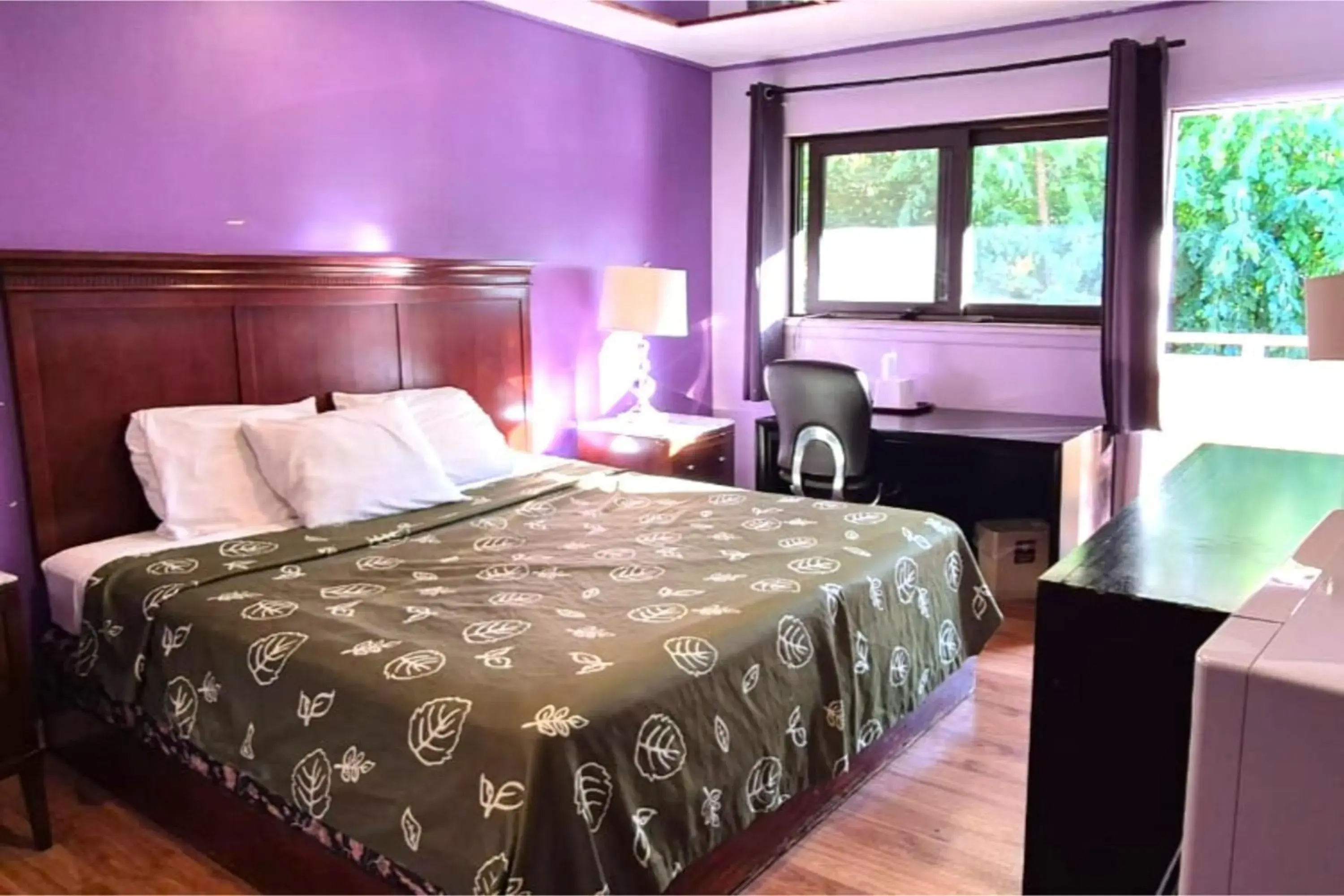 King Bed Non-Smoking in Motel Edgebrook Chicago North Shore By Oyo King Bed Non-Smoking in Motel Edgebrook Chicago North Shore By Oyo