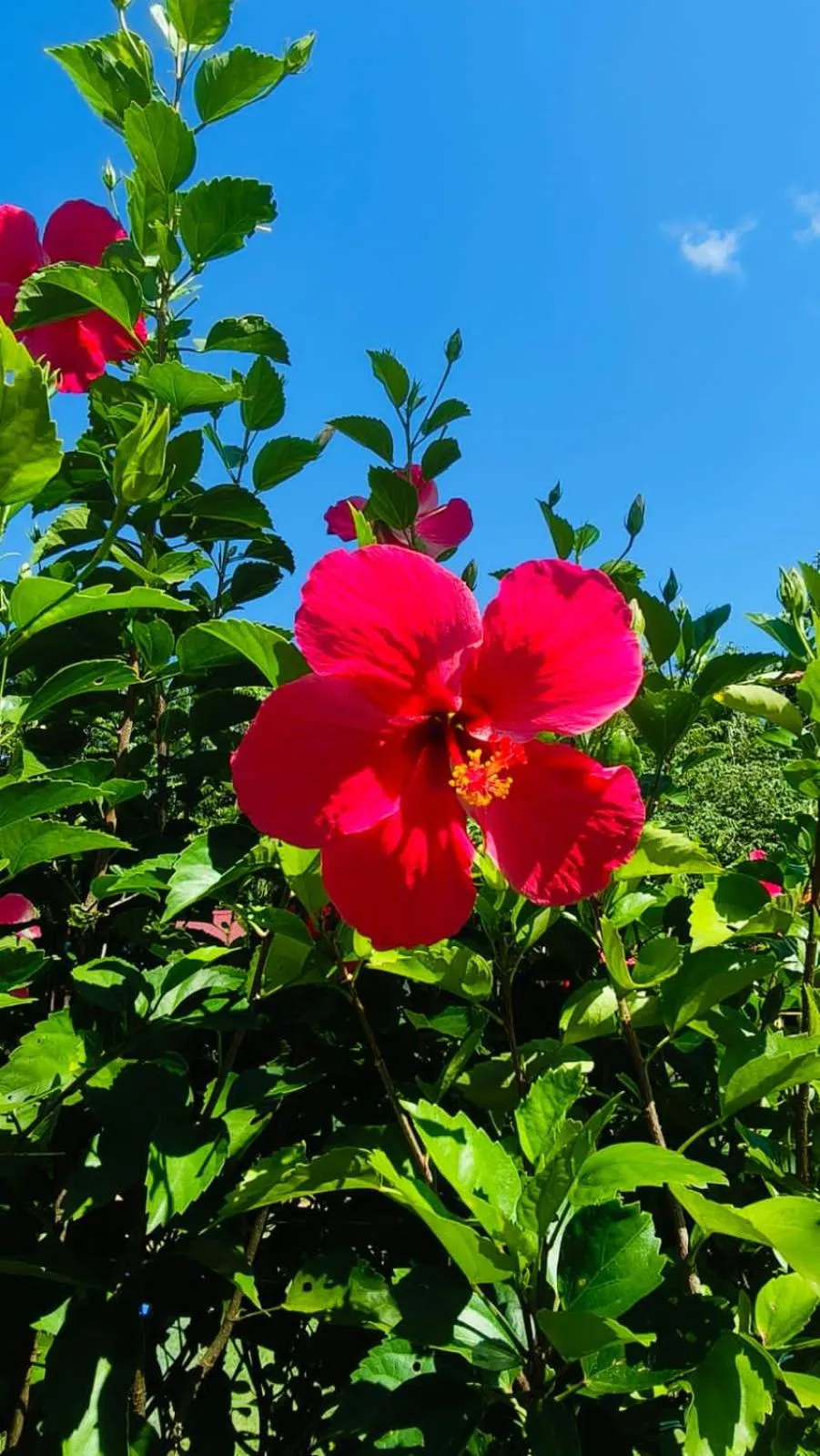 E&N Paradise Island Resort