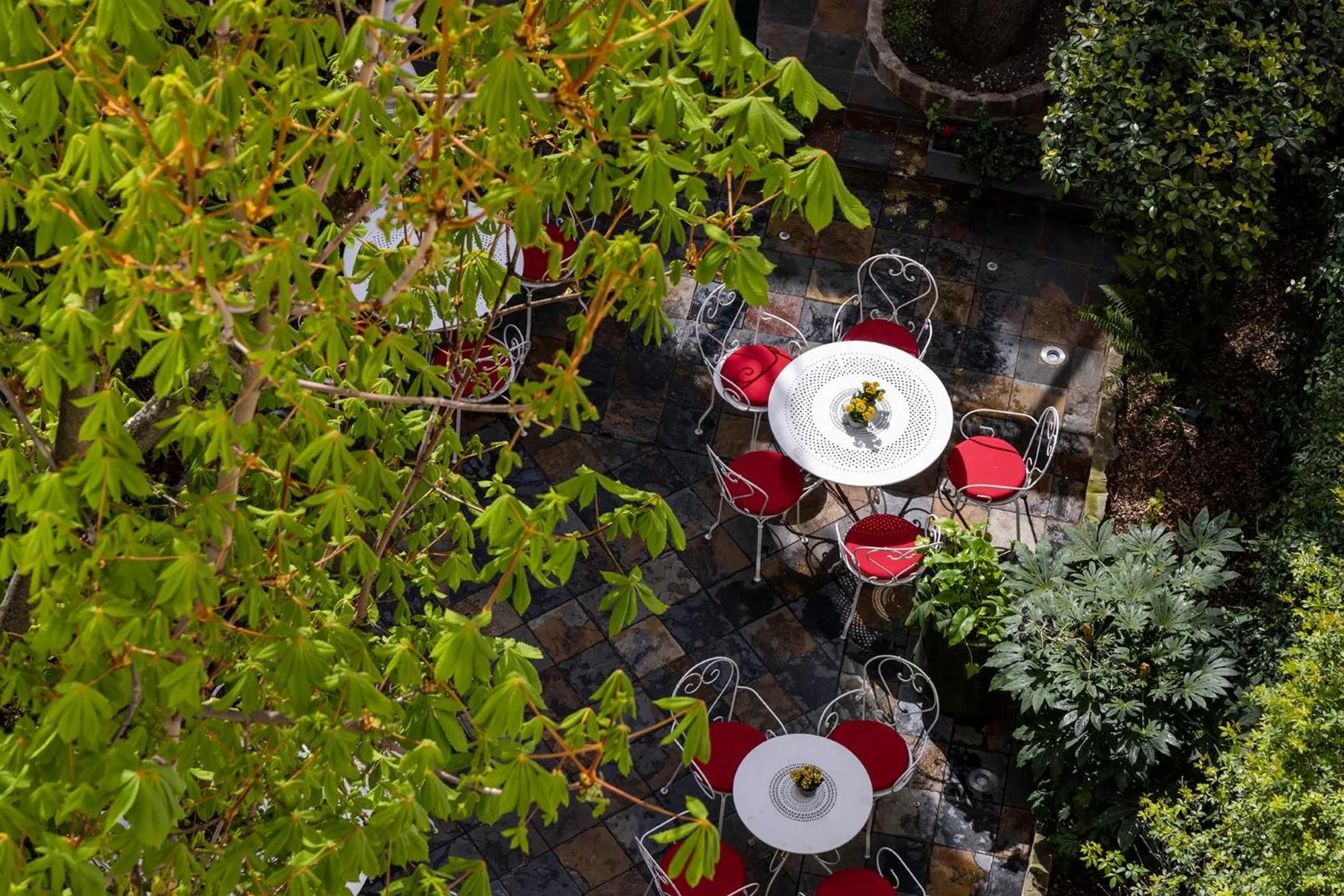 Garden in Hôtel Des Marronniers