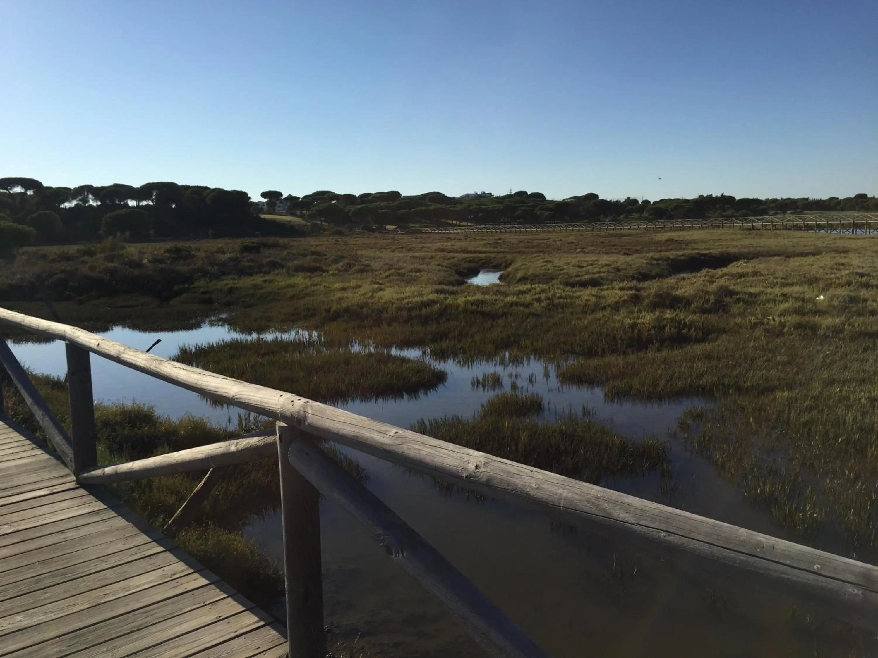 Hiking in Life Apartments El Rompido