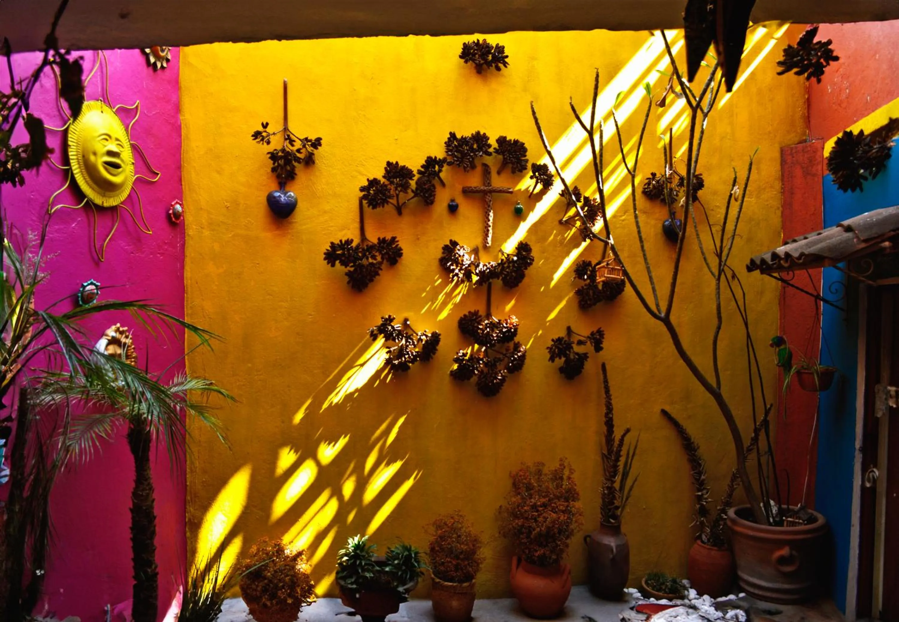 Garden in Posada del Fraile