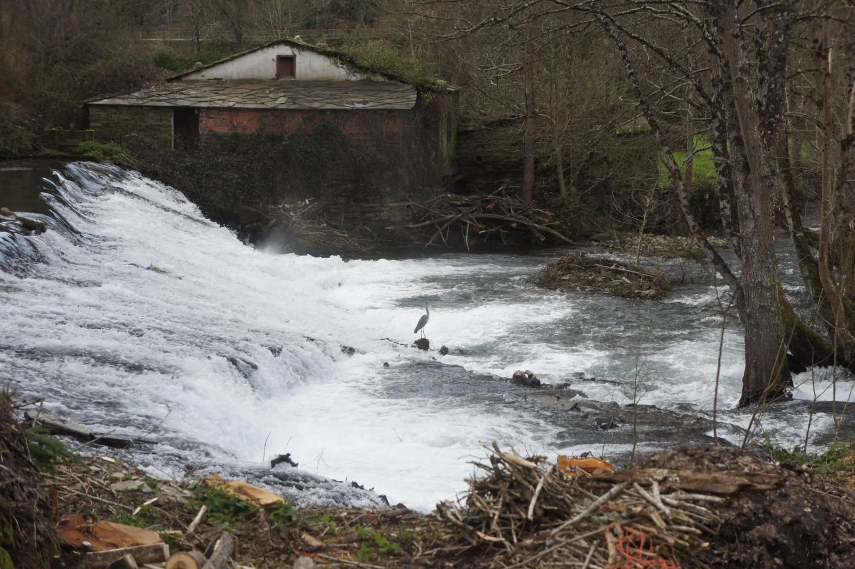 View (from property/room) in Hotel A Veiga