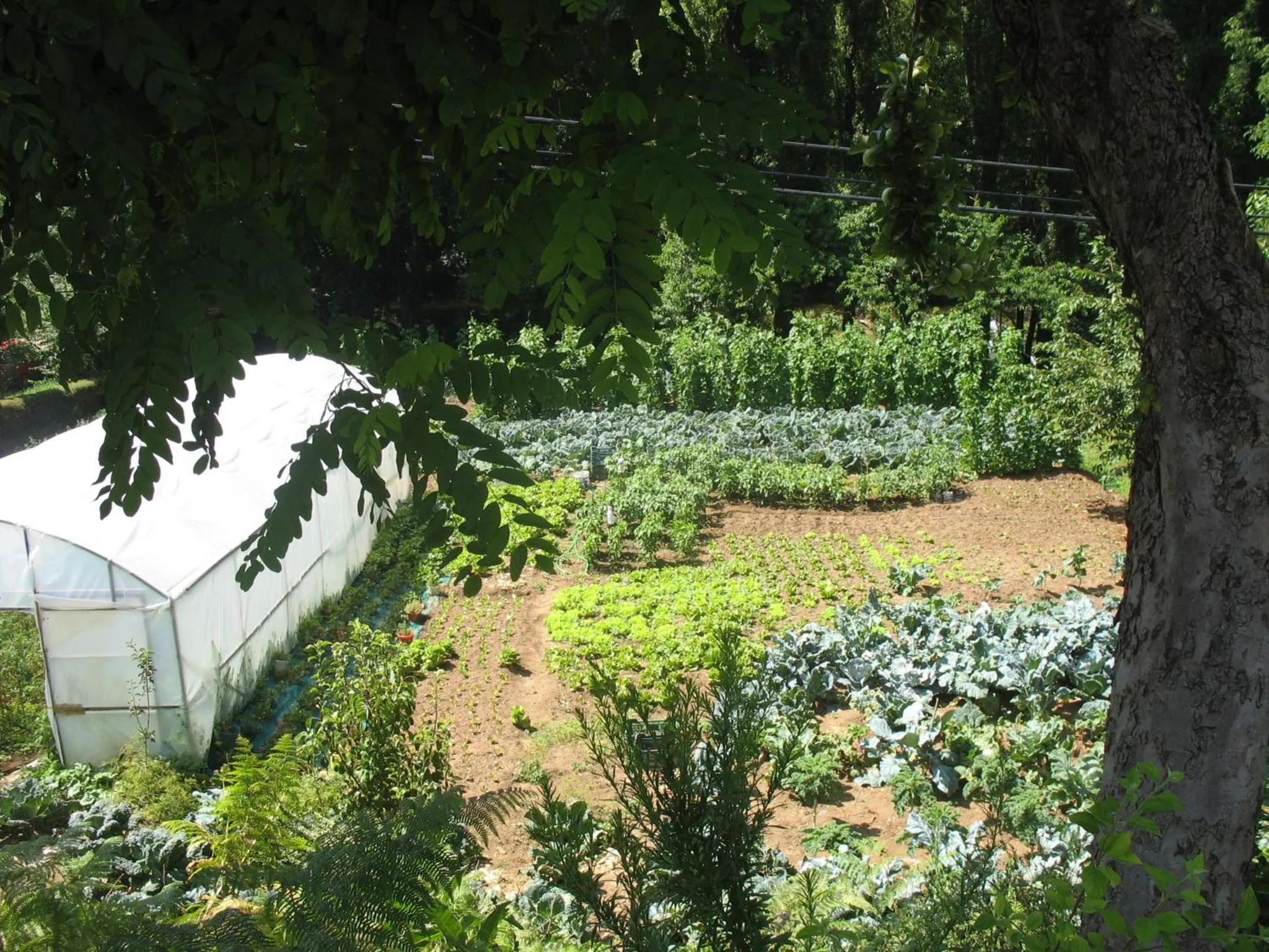 Other in Hotel A Veiga