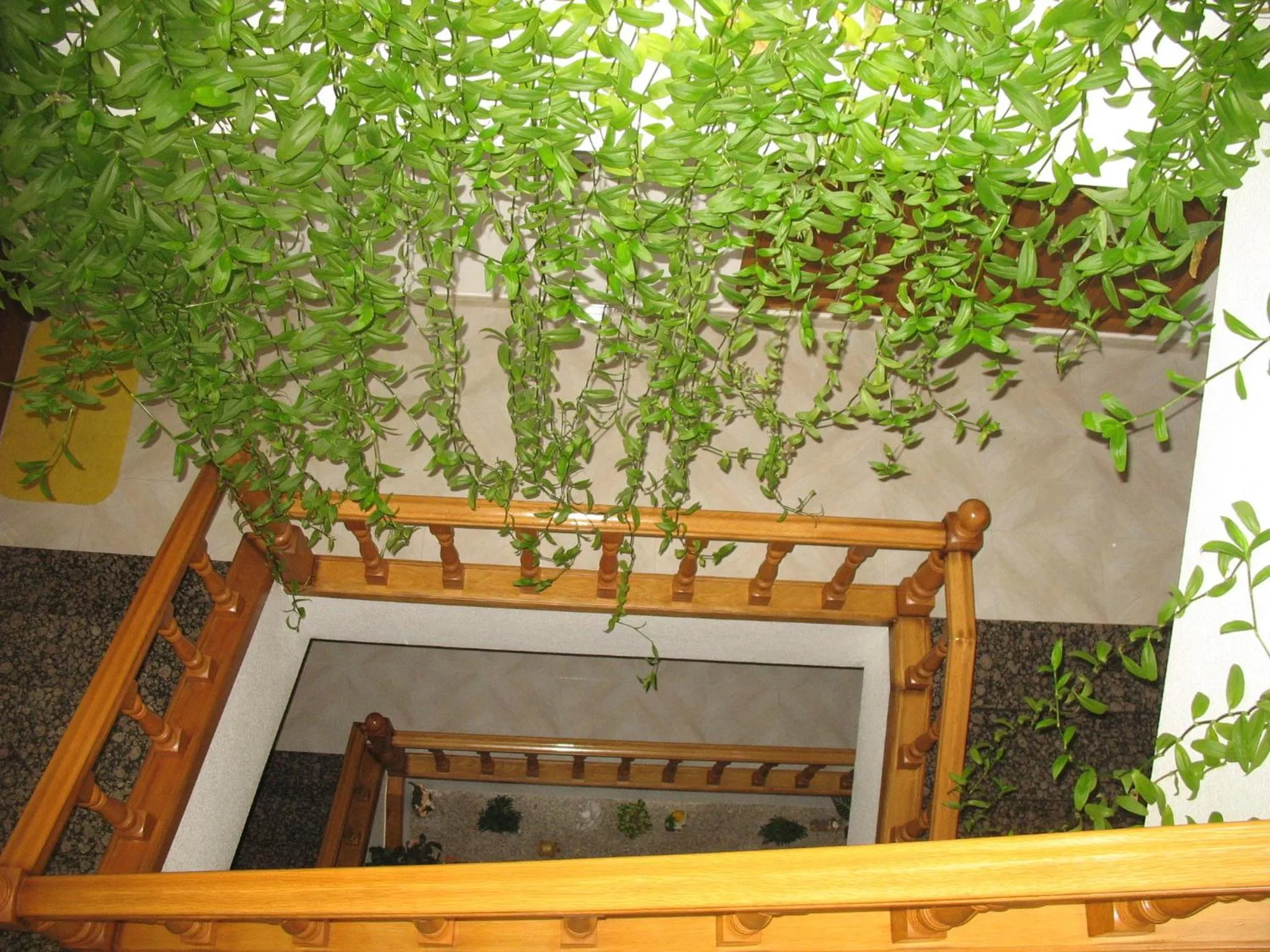 Area and facilities in Hotel A Veiga