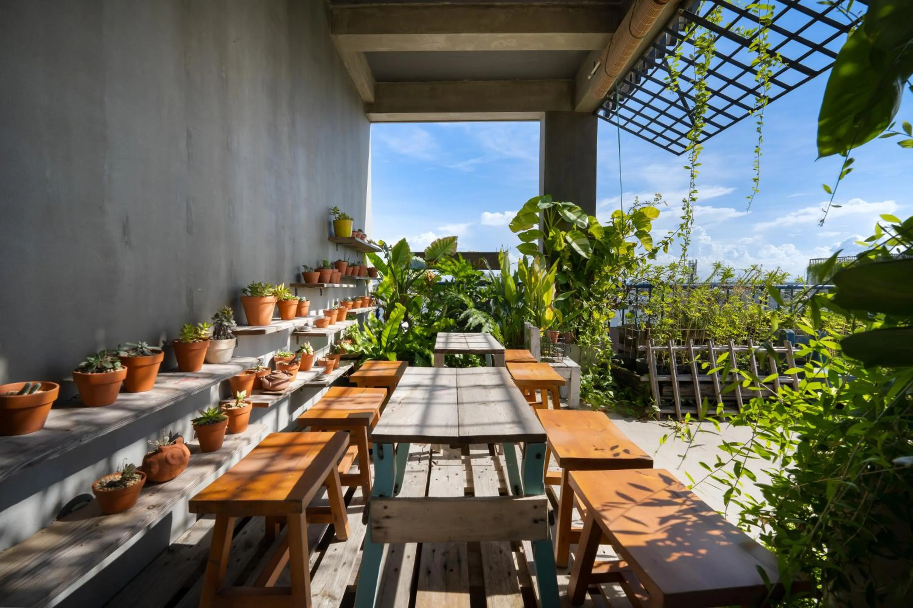 Garden in La Maison Des Délices