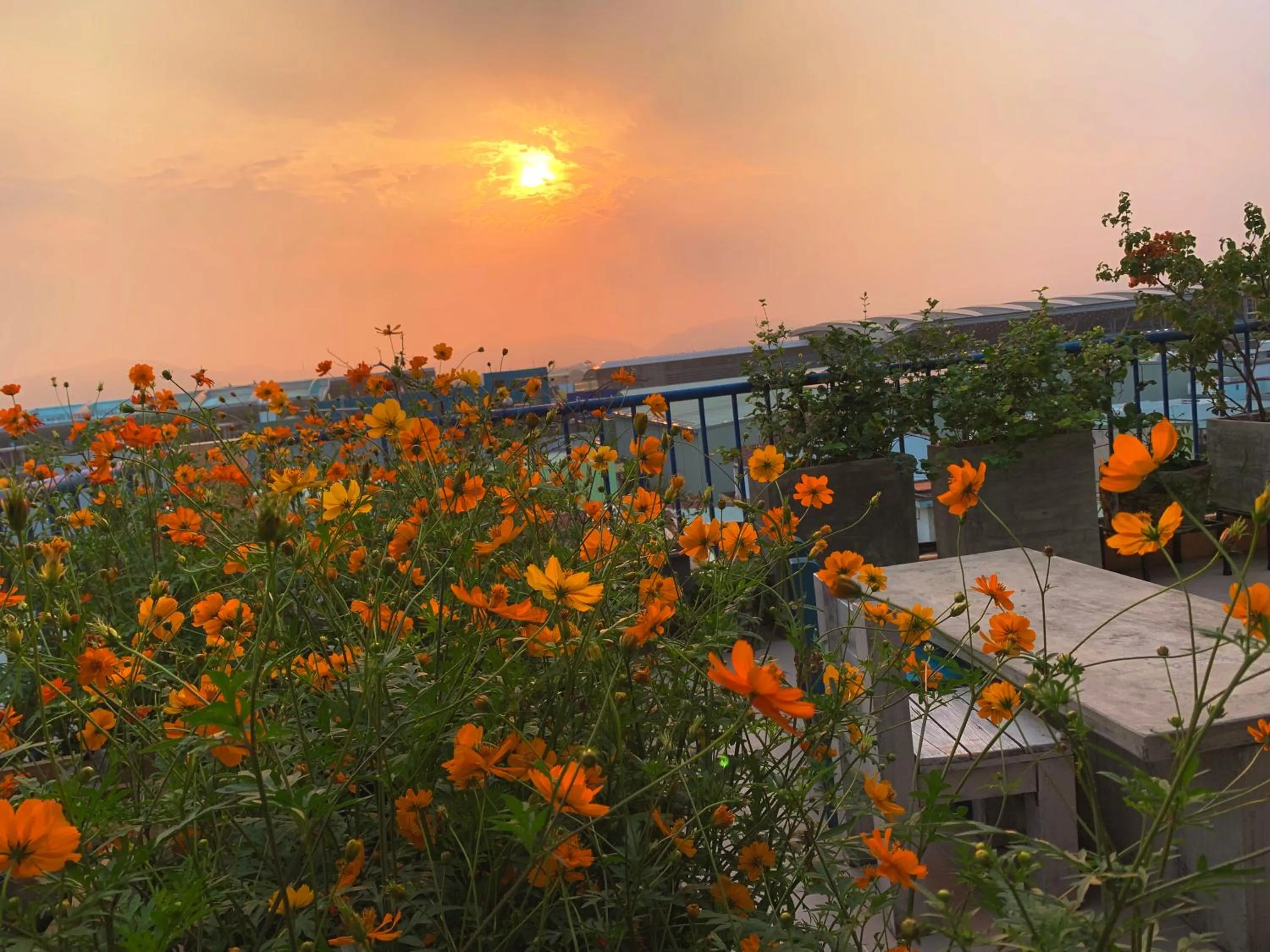 Sunset in La Maison Des Délices