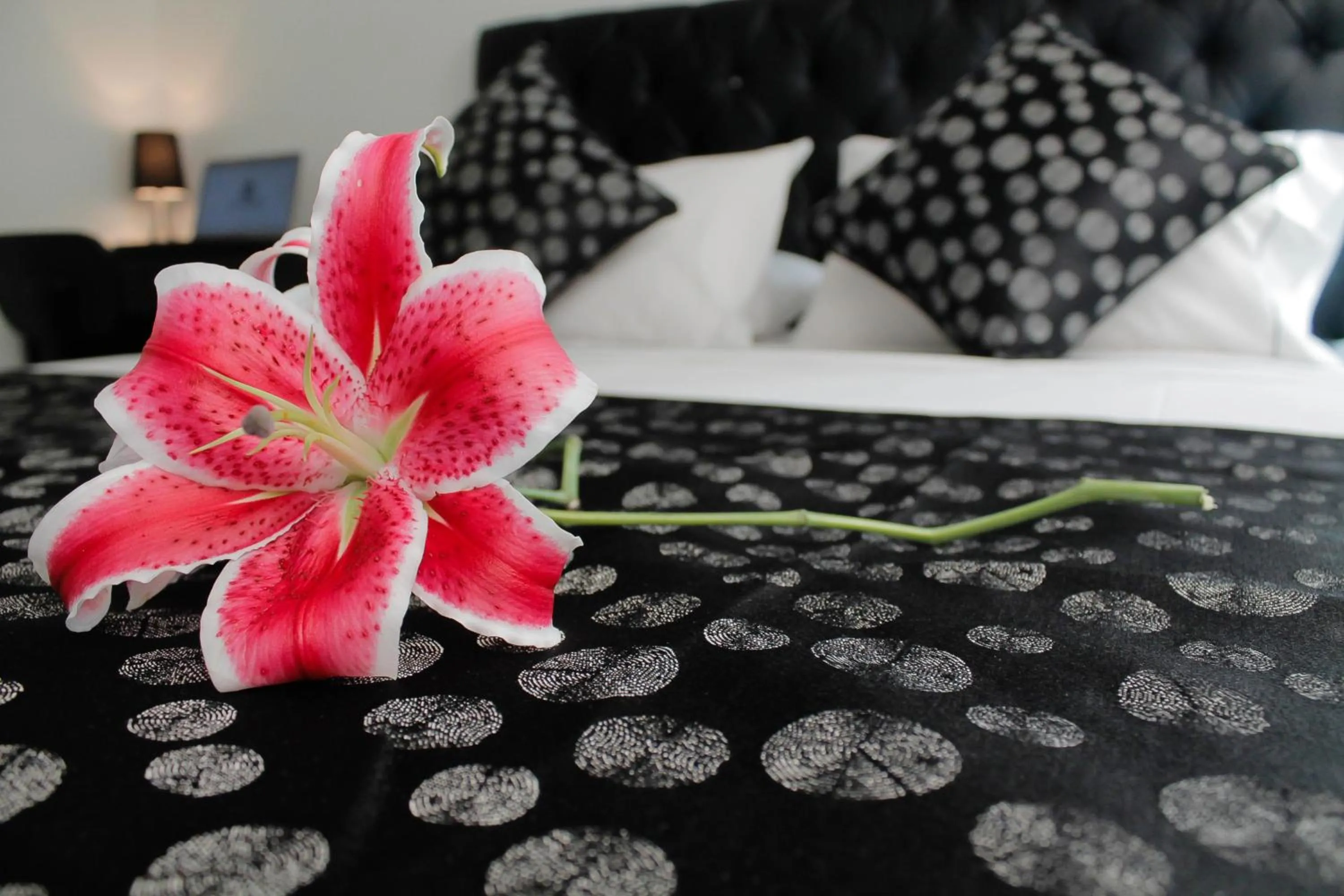 bunk bed, Bed in La Cabrera Hotel Boutique