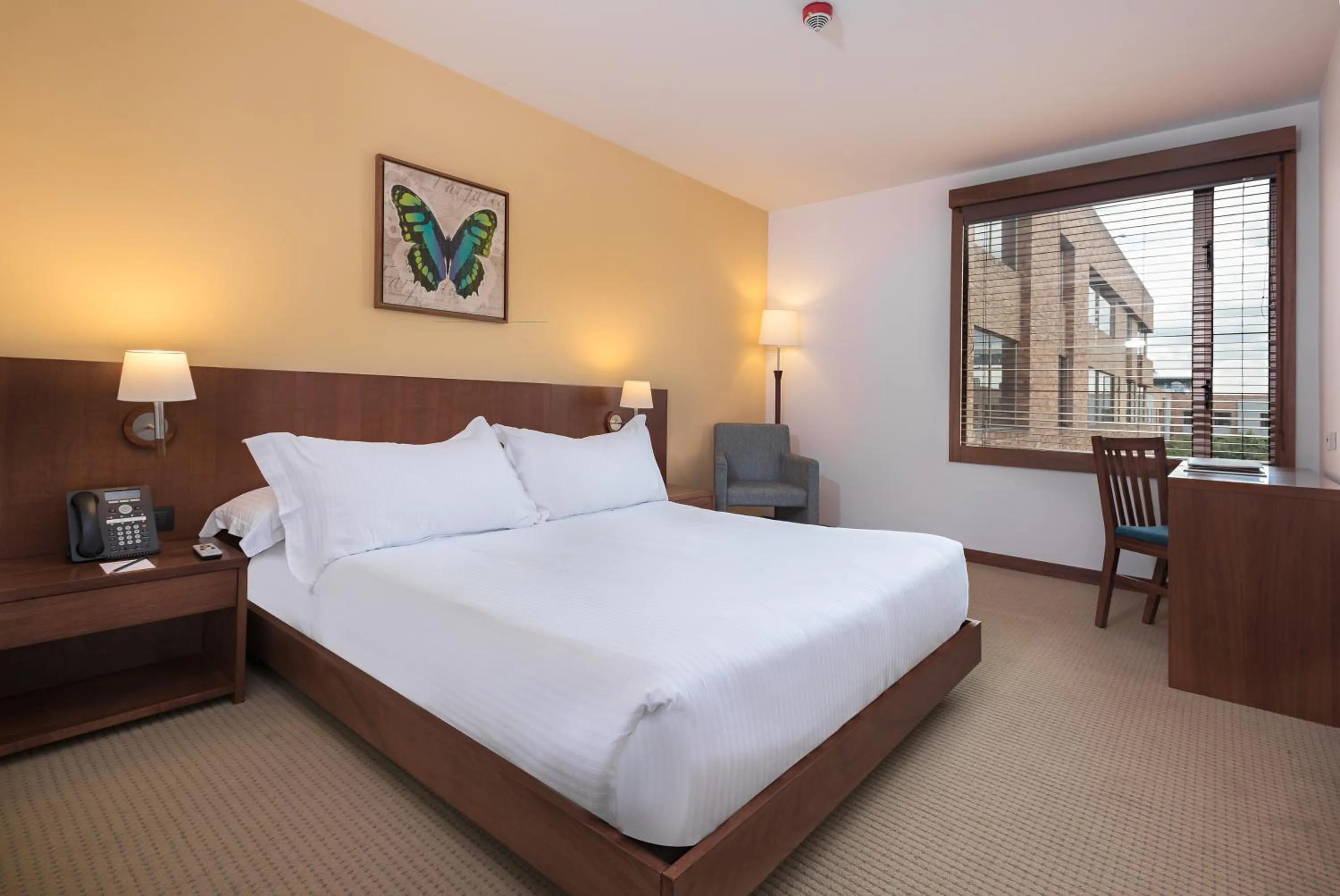 Bed in Hotel Habitel Select