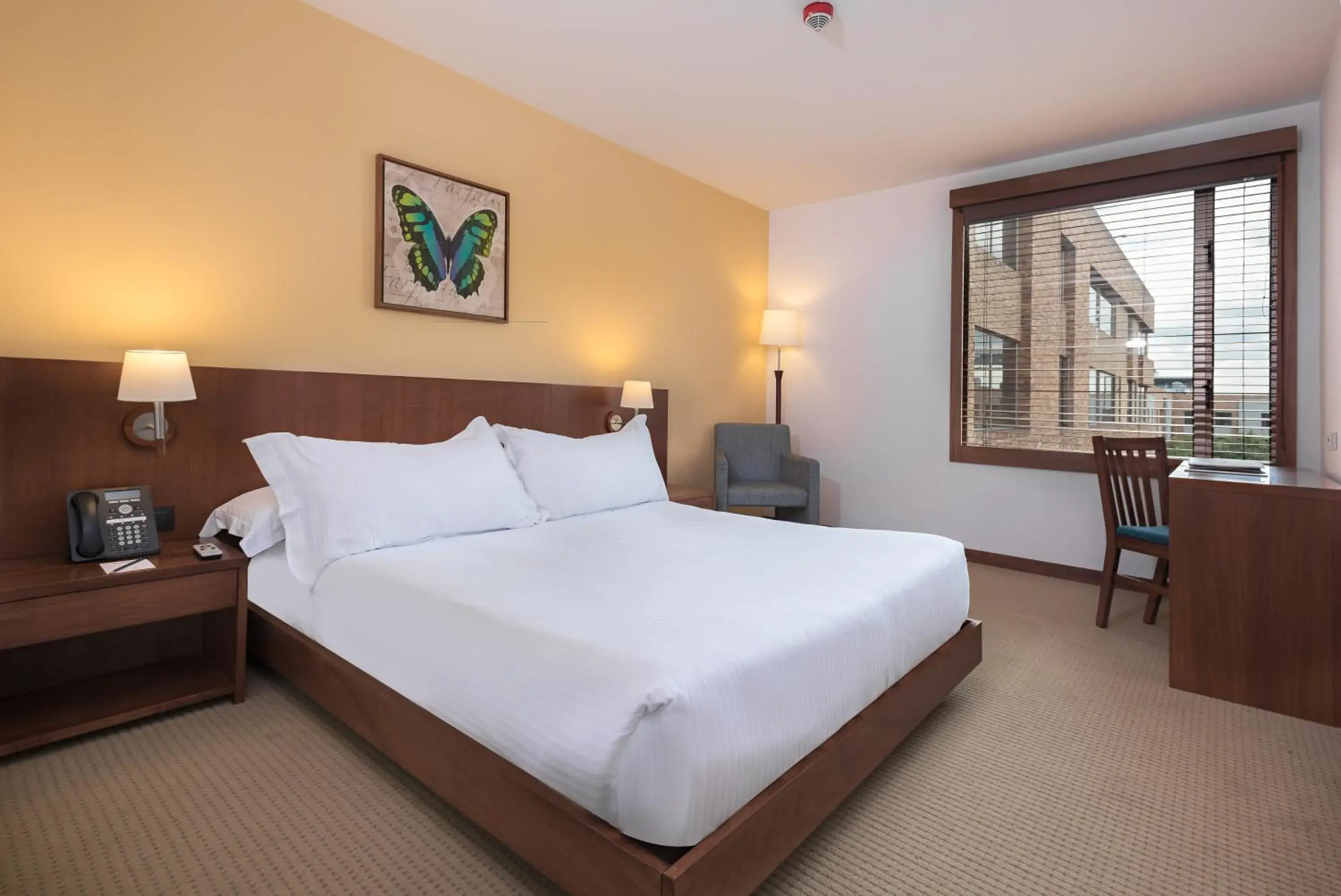 Executive Double Room in Hotel Habitel Select Executive Double Room in Hotel Habitel Select