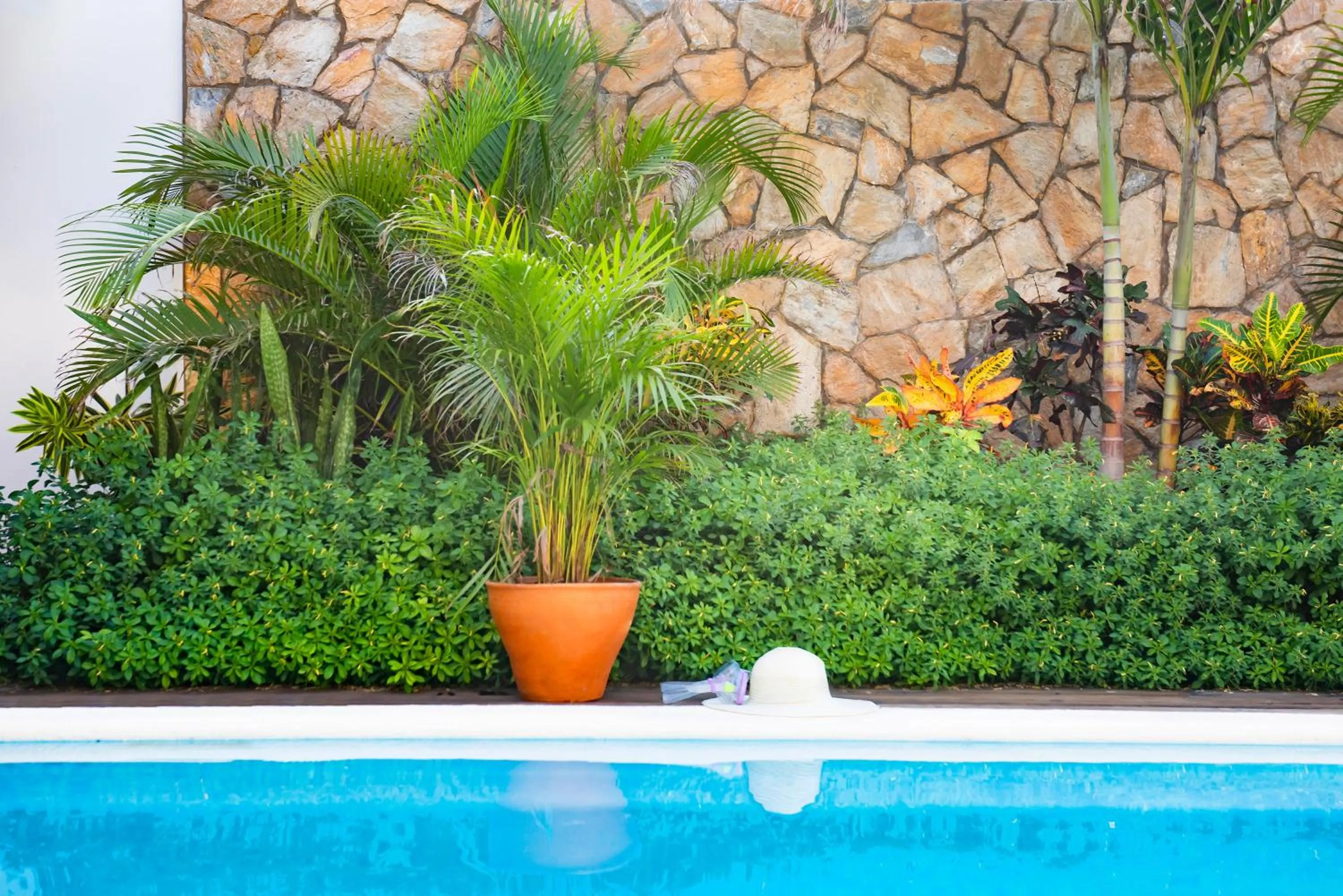 Decorative detail in Naboo Resort & Dive Center - Adults Only