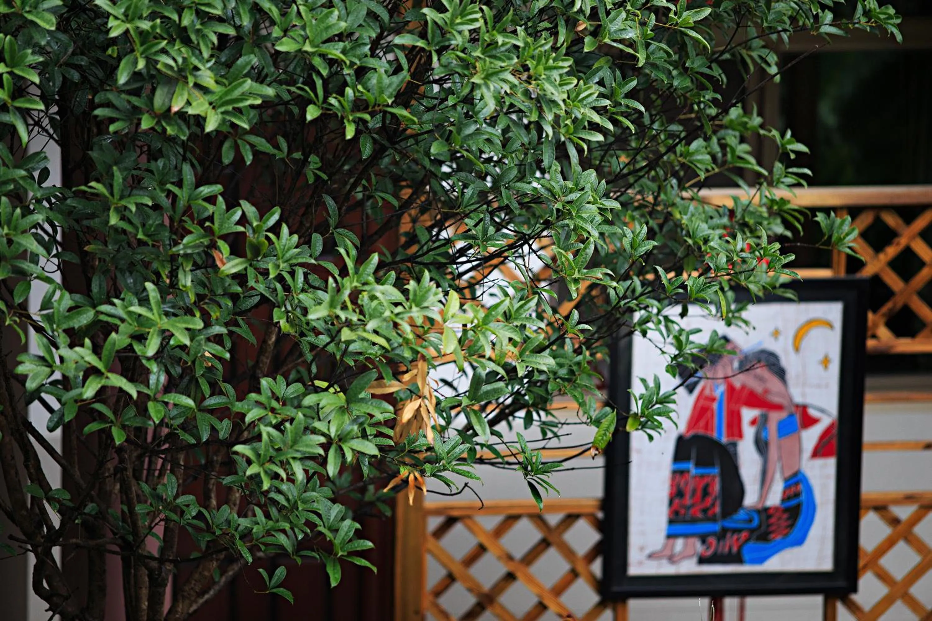 Garden in Old Story Inn Dali Ancient Town