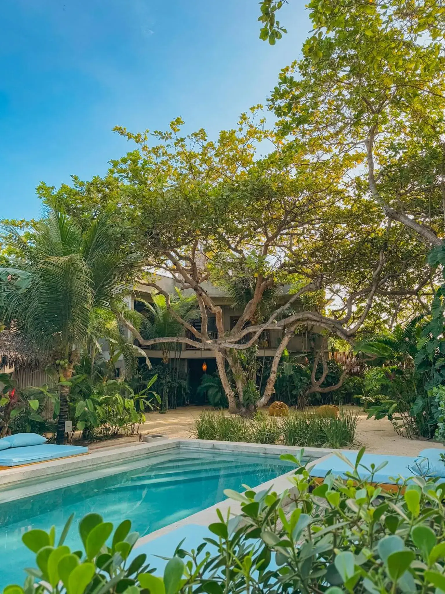 Villa Mango Jeri Villa Mango Jeri