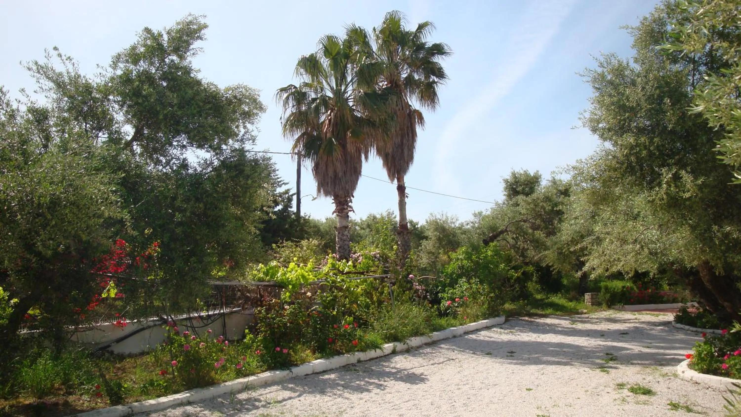 Garden in Calamon Apartments