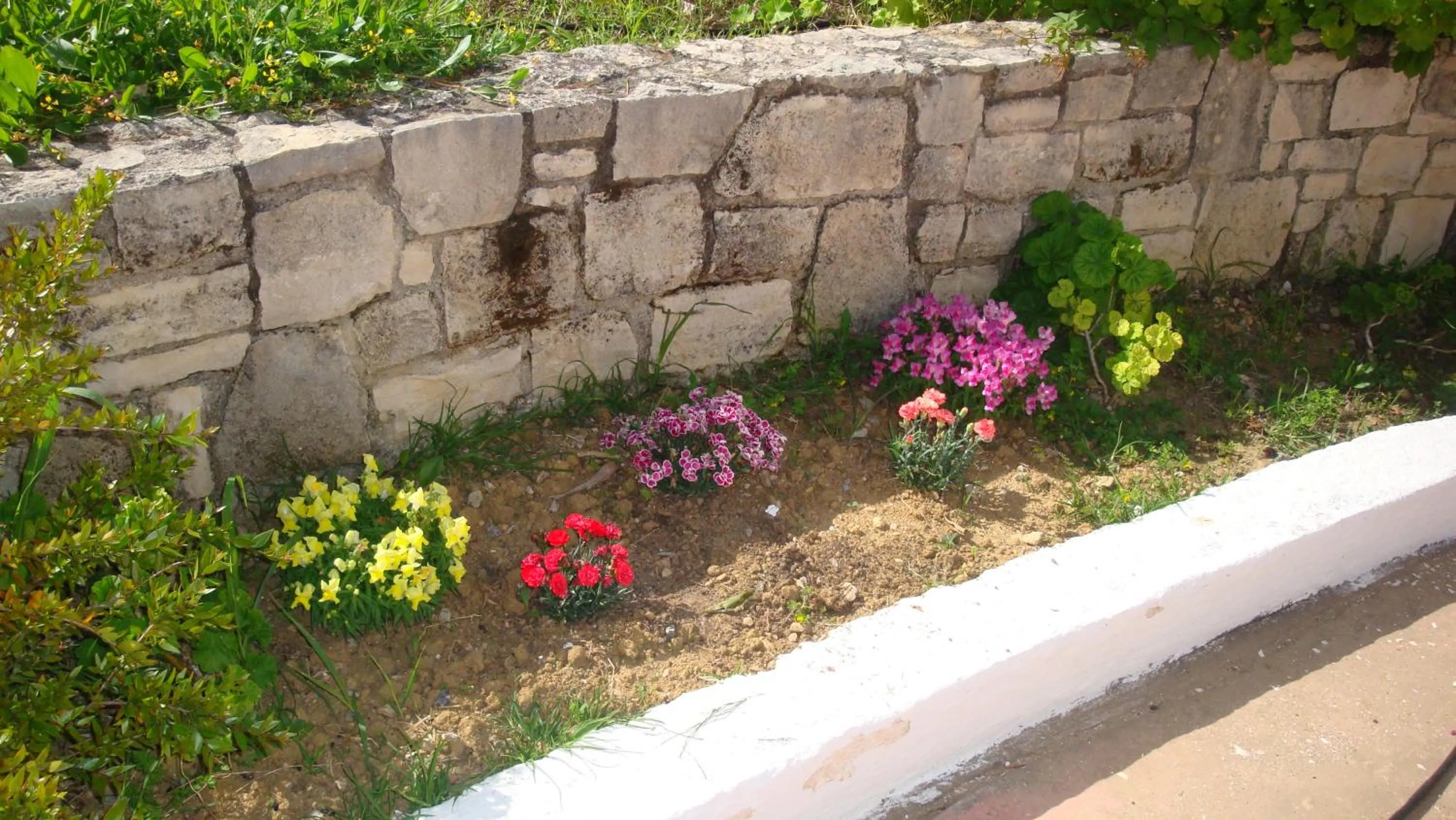 Garden in Calamon Apartments
