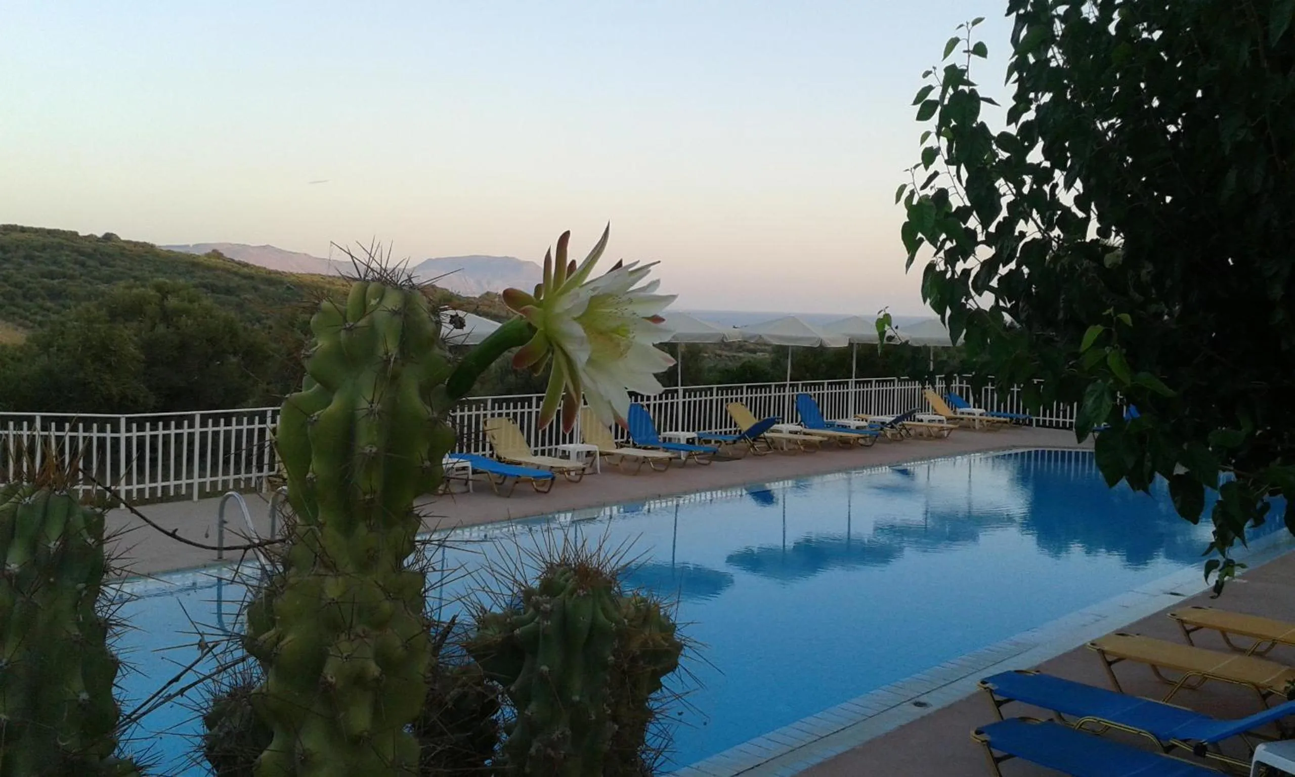 Swimming pool in Calamon Apartments
