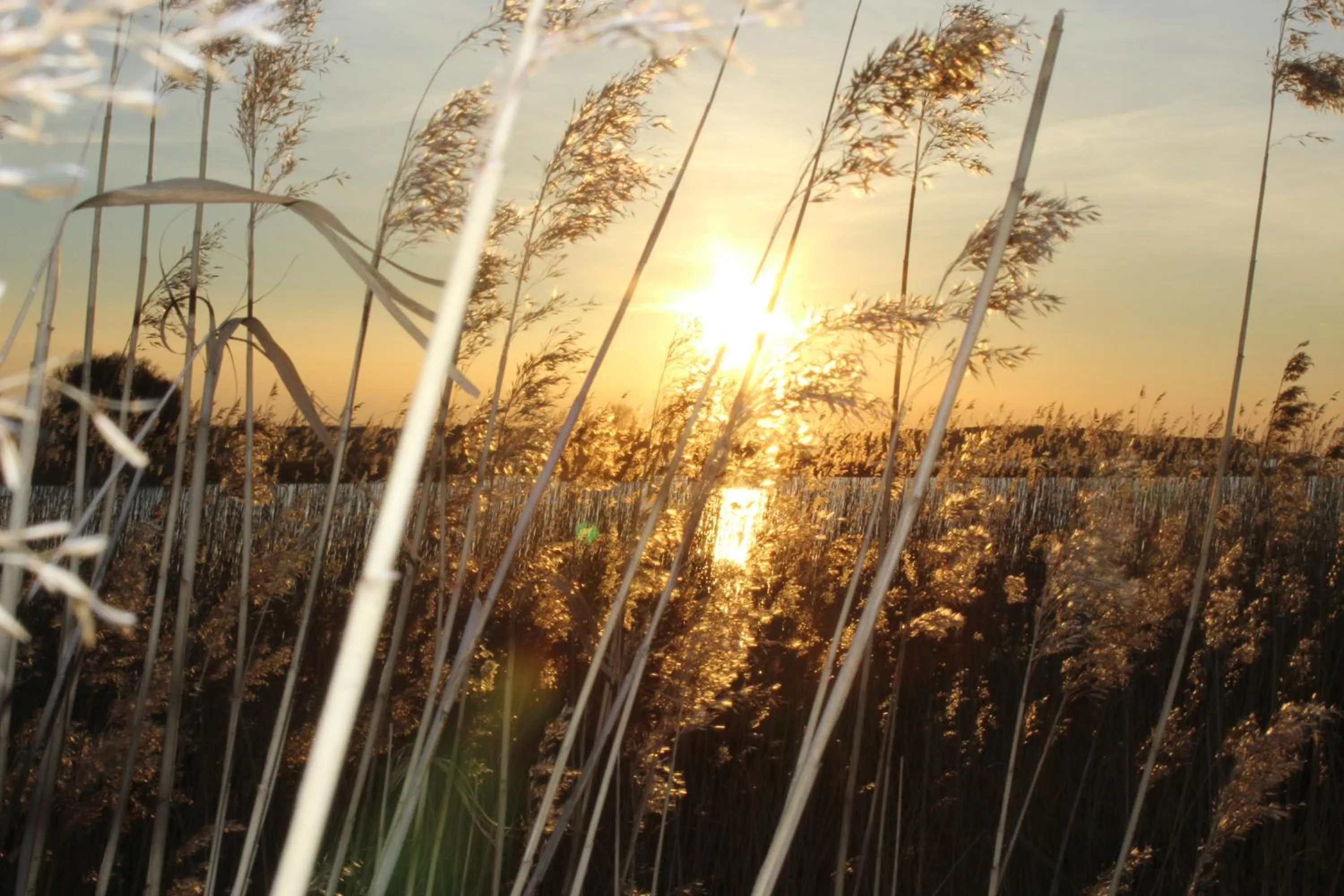 Natural landscape in Halbinsel Resort Peenemünde