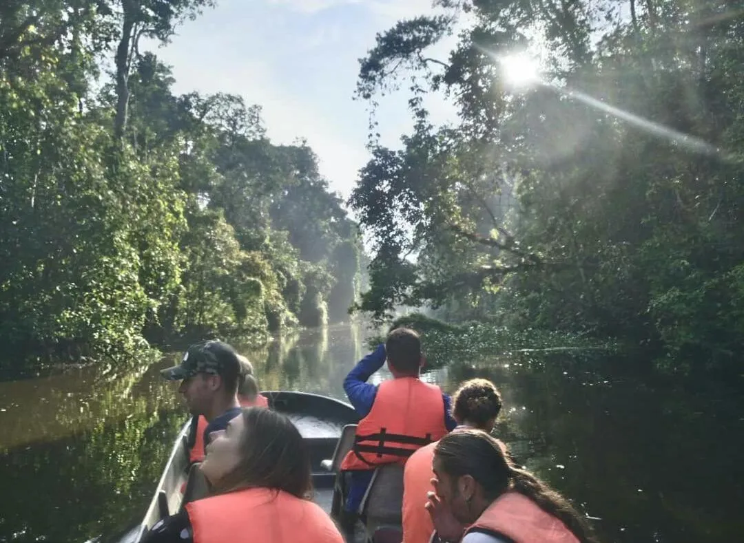 Sukau Greenview Lodge