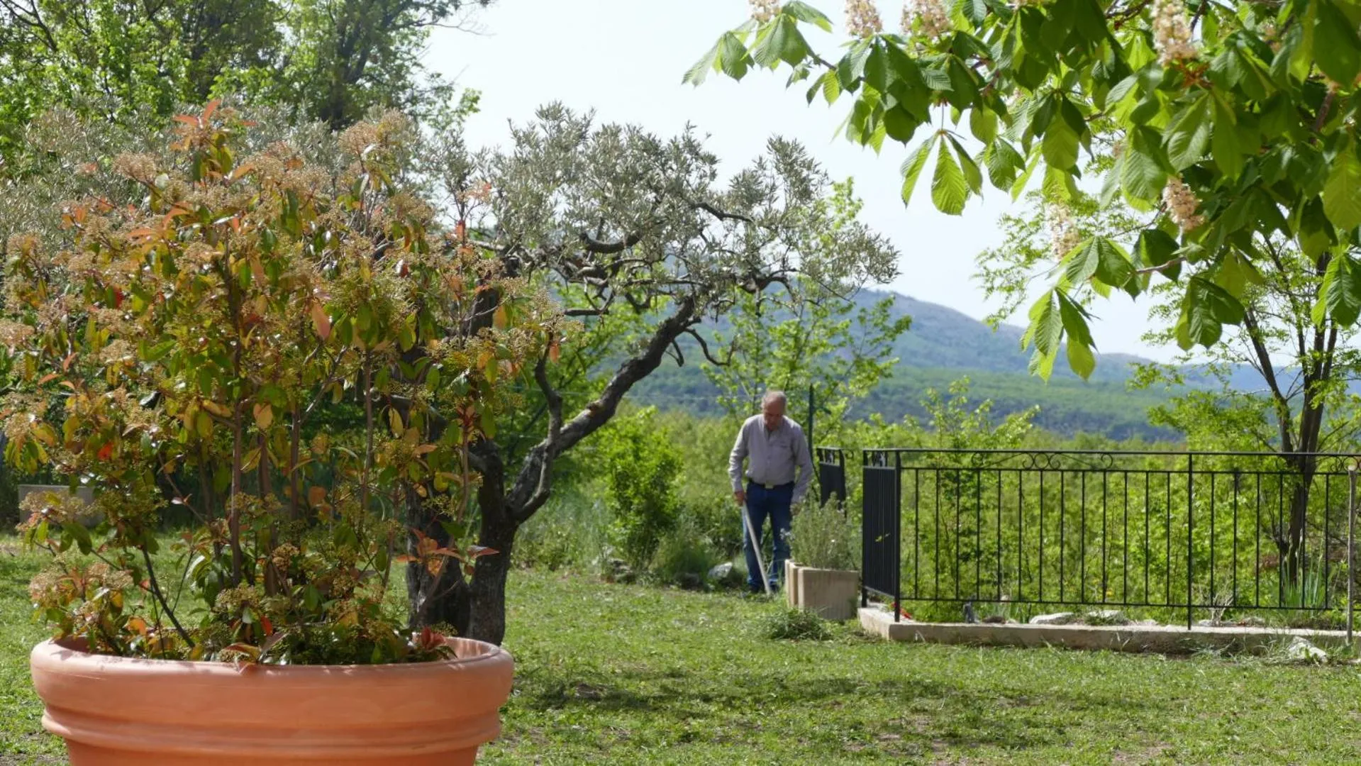 Balcony/Terrace in Le Bosquet