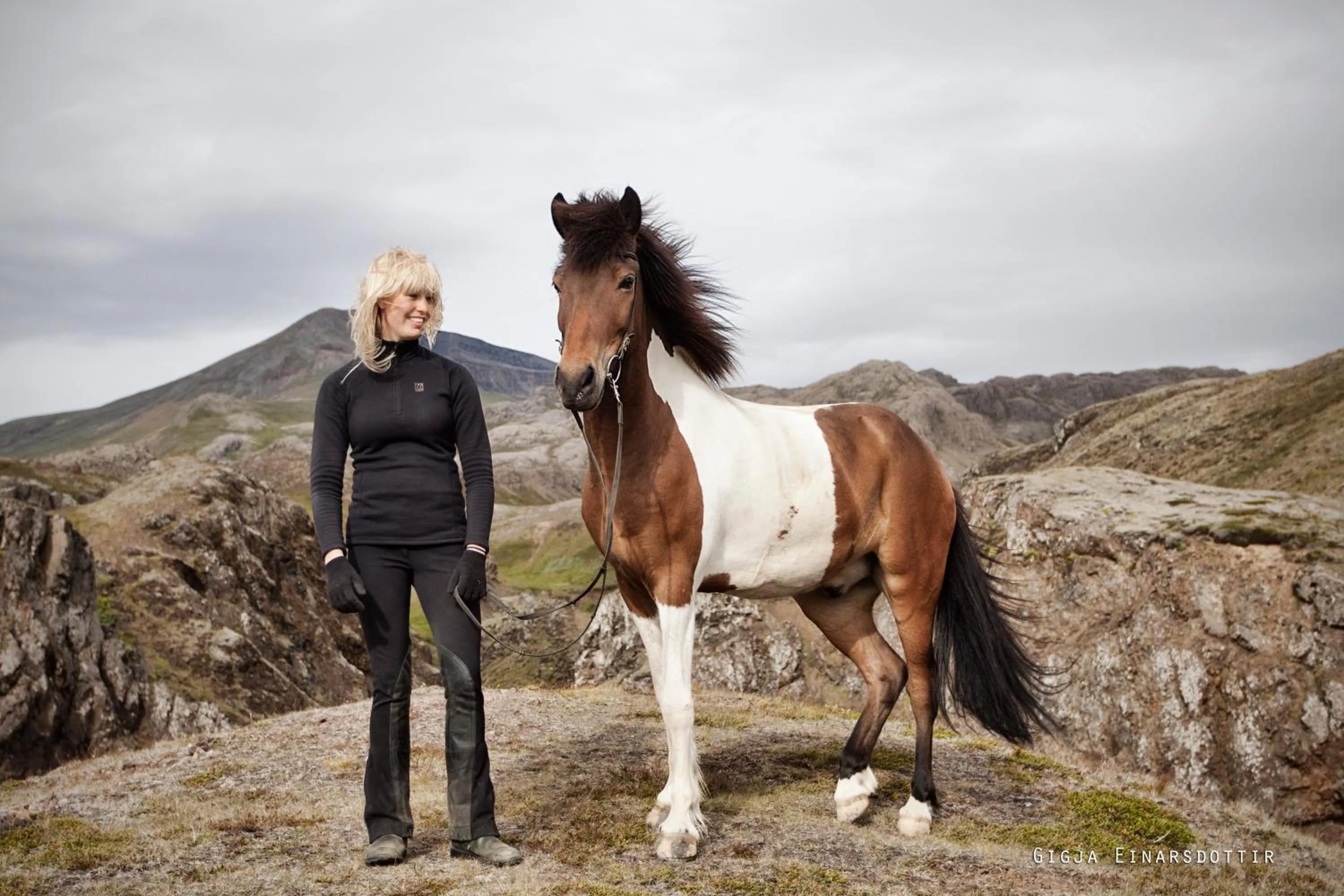 Summer in Hestaland Guesthouse Horse Farm Stay