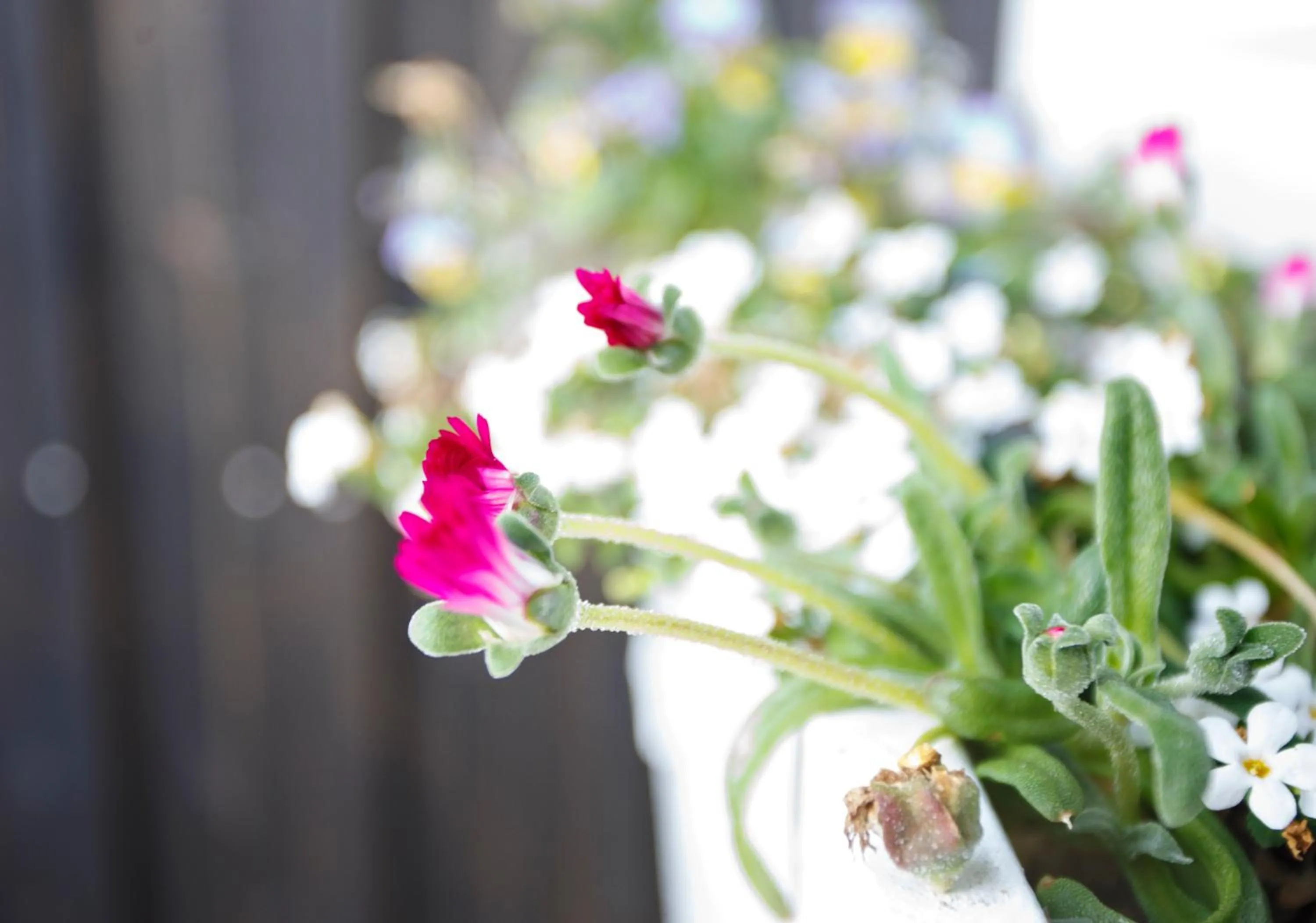 Decorative detail in Hestaland Guesthouse Horse Farm Stay