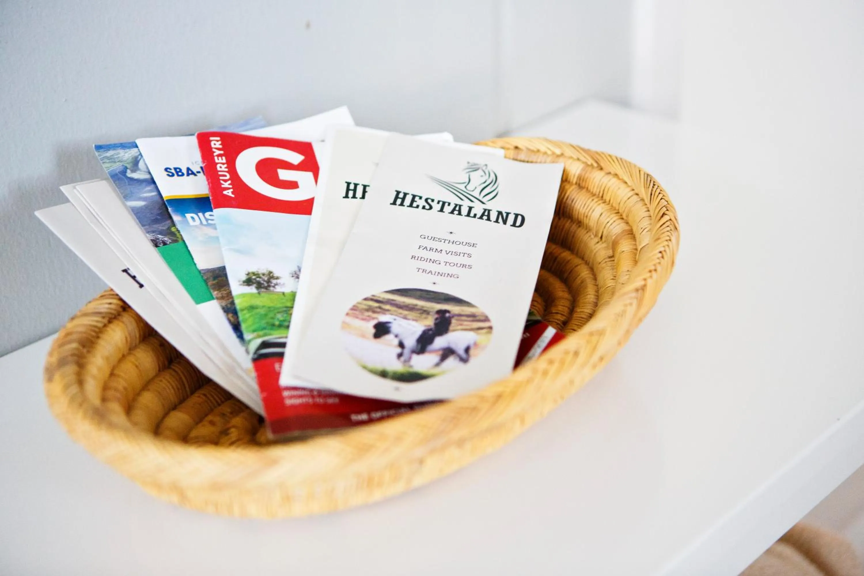 Activities in Hestaland Guesthouse Horse Farm Stay