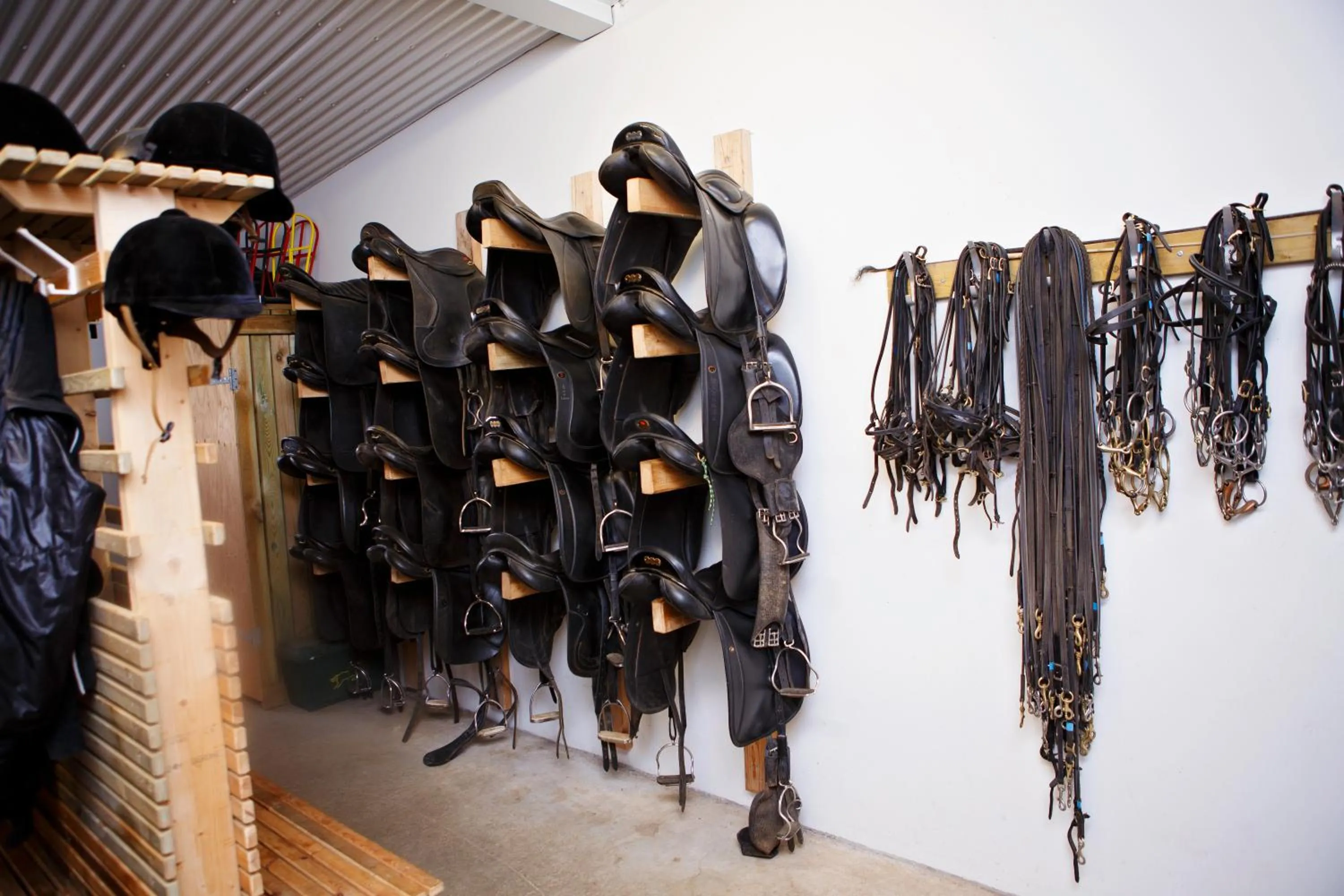 Horse-riding in Hestaland Guesthouse Horse Farm Stay