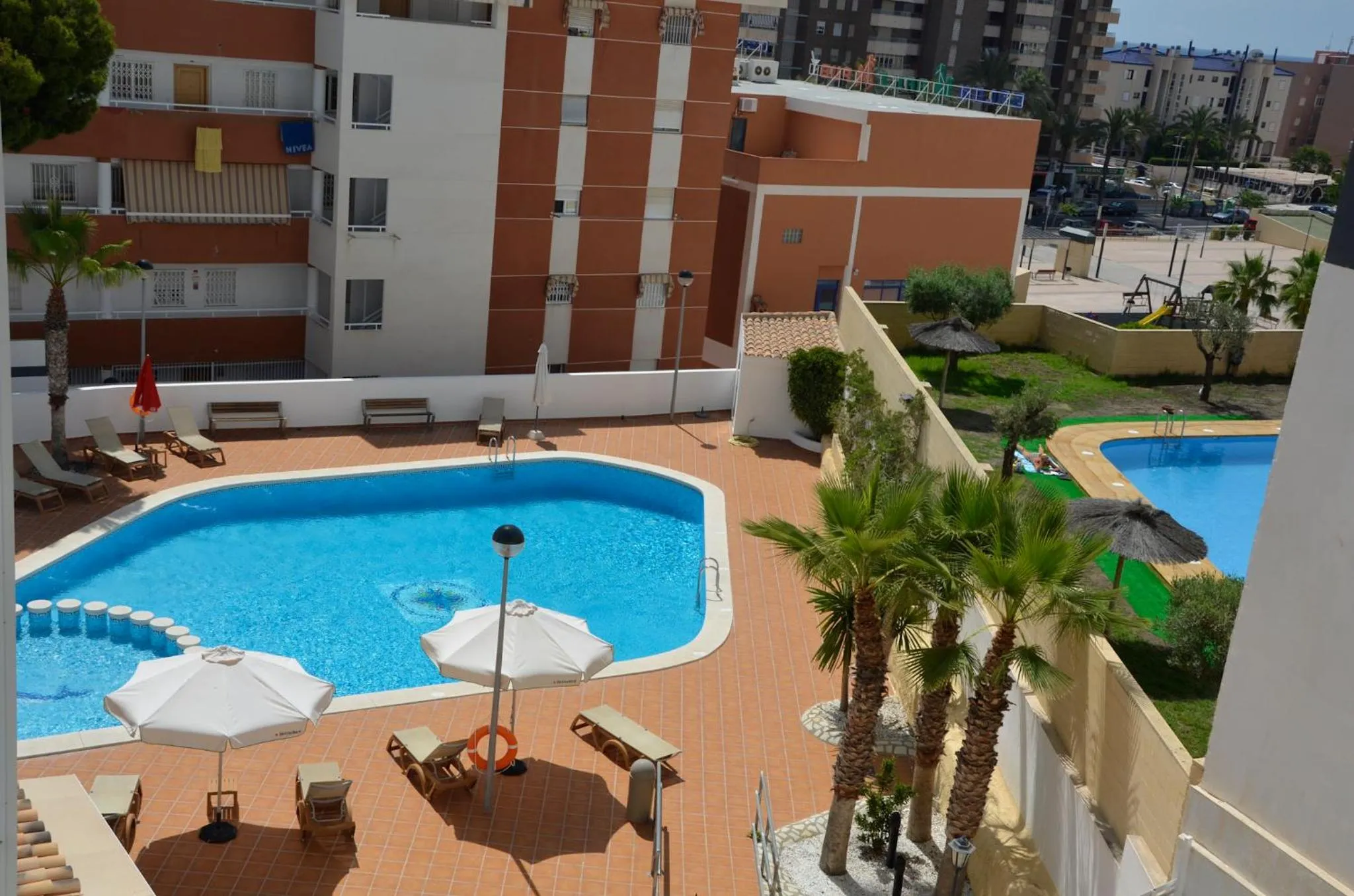 Day in La Familia Gallo Rojo