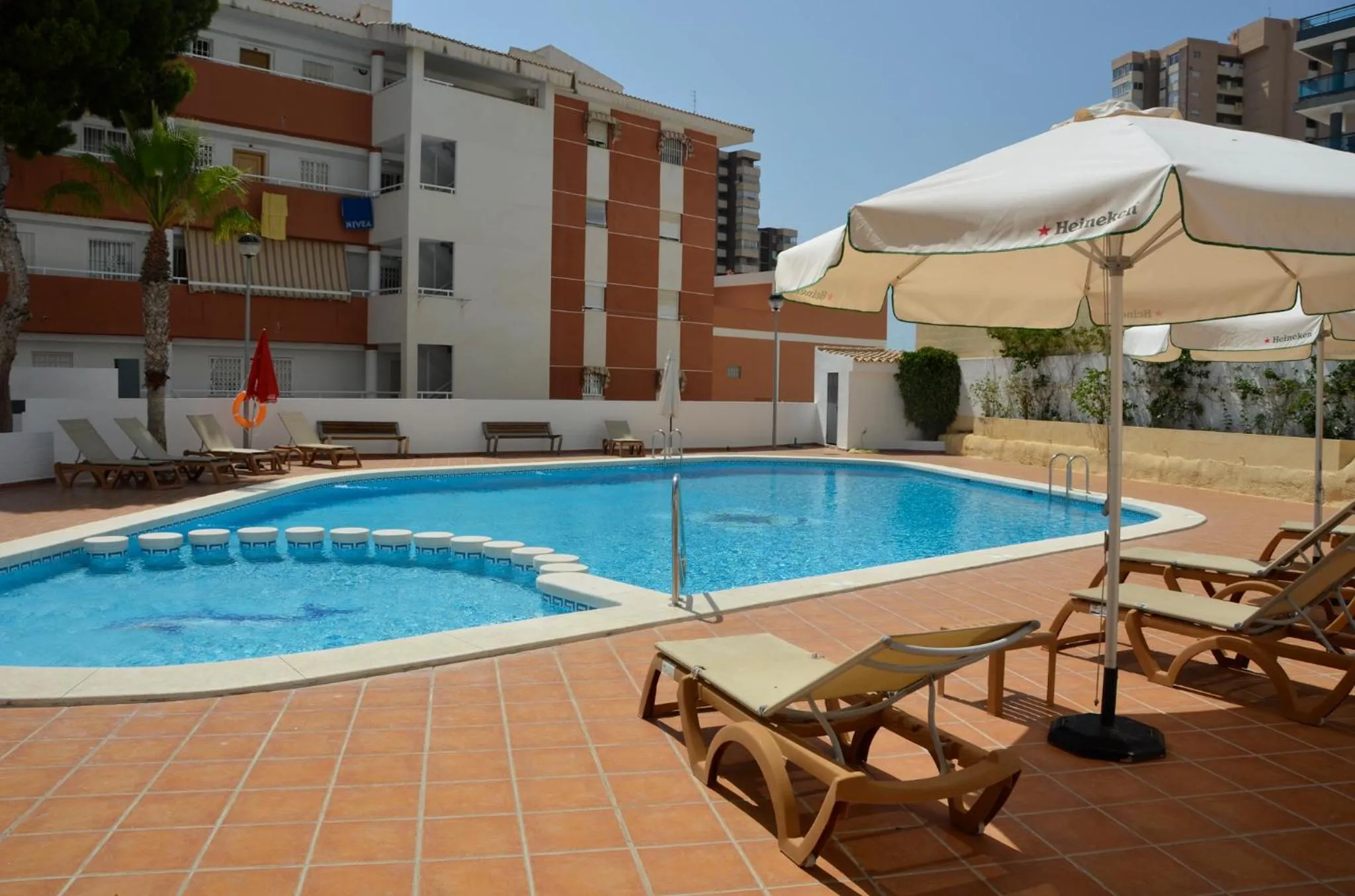 Day in La Familia Gallo Rojo