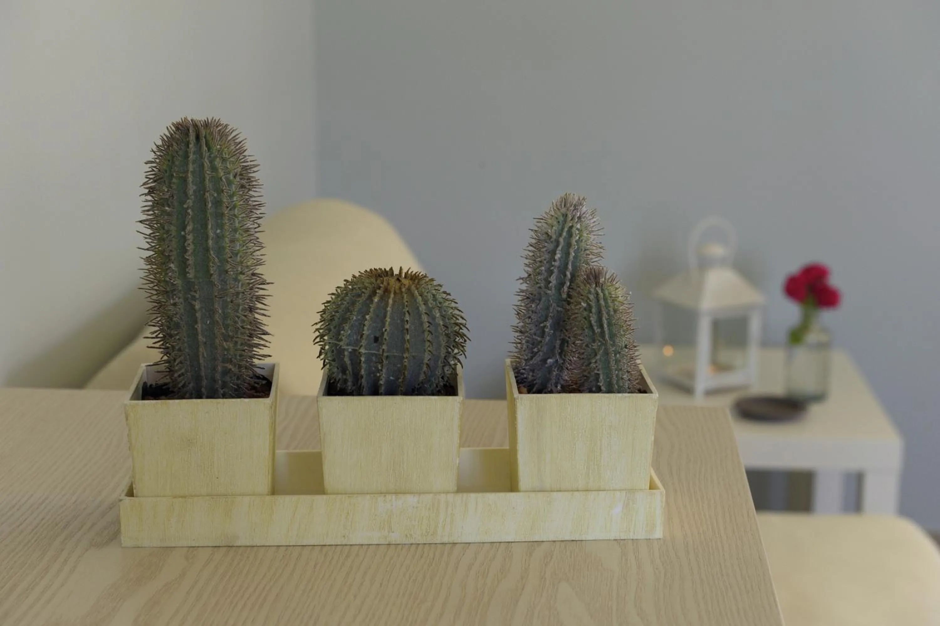 Decorative detail in Almyris