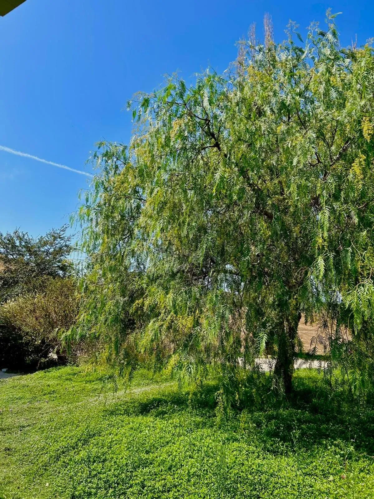 Agriturismo Podere Farnesiana