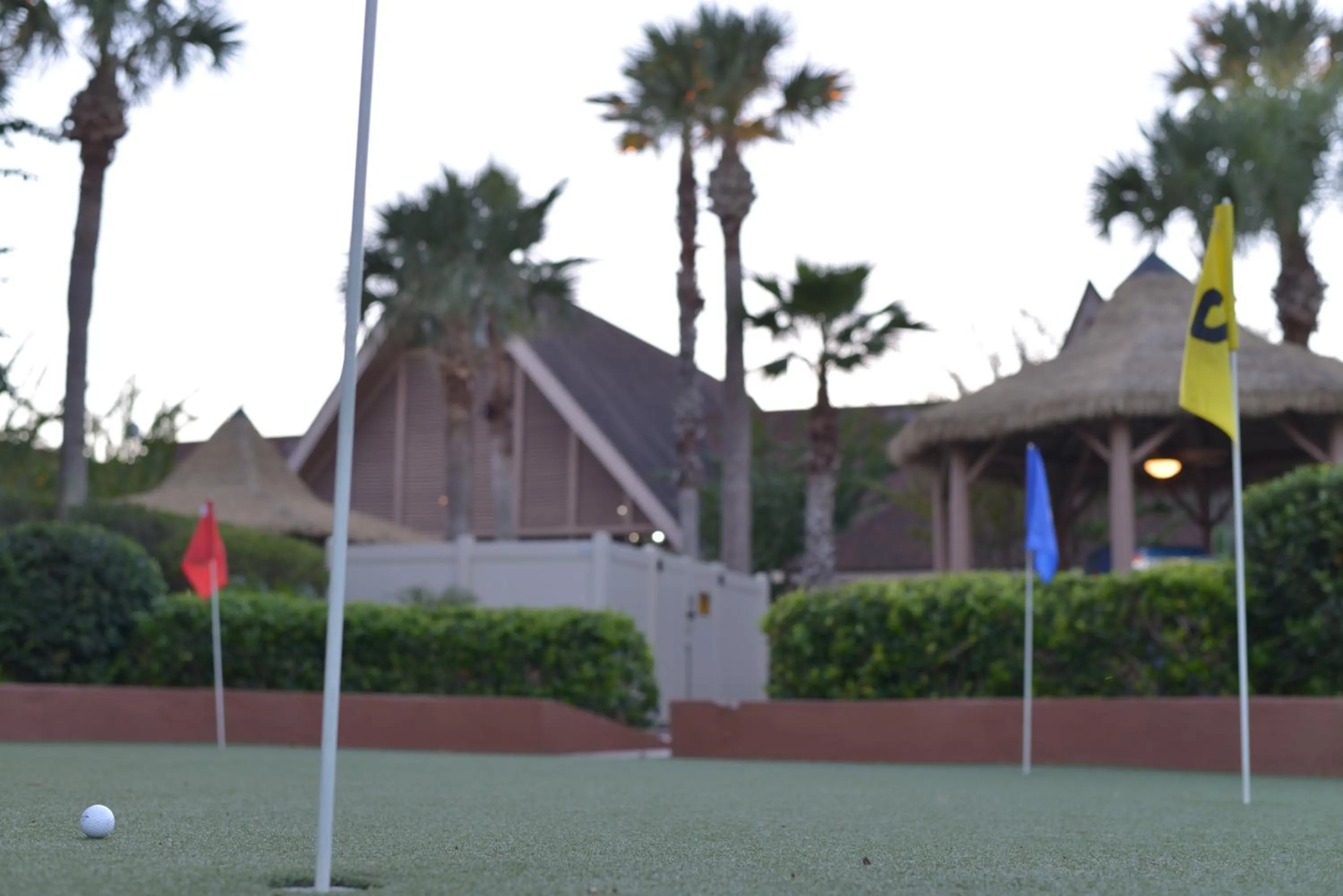 Activities in Hilton Vacation Club Polynesian Isles Kissimmee