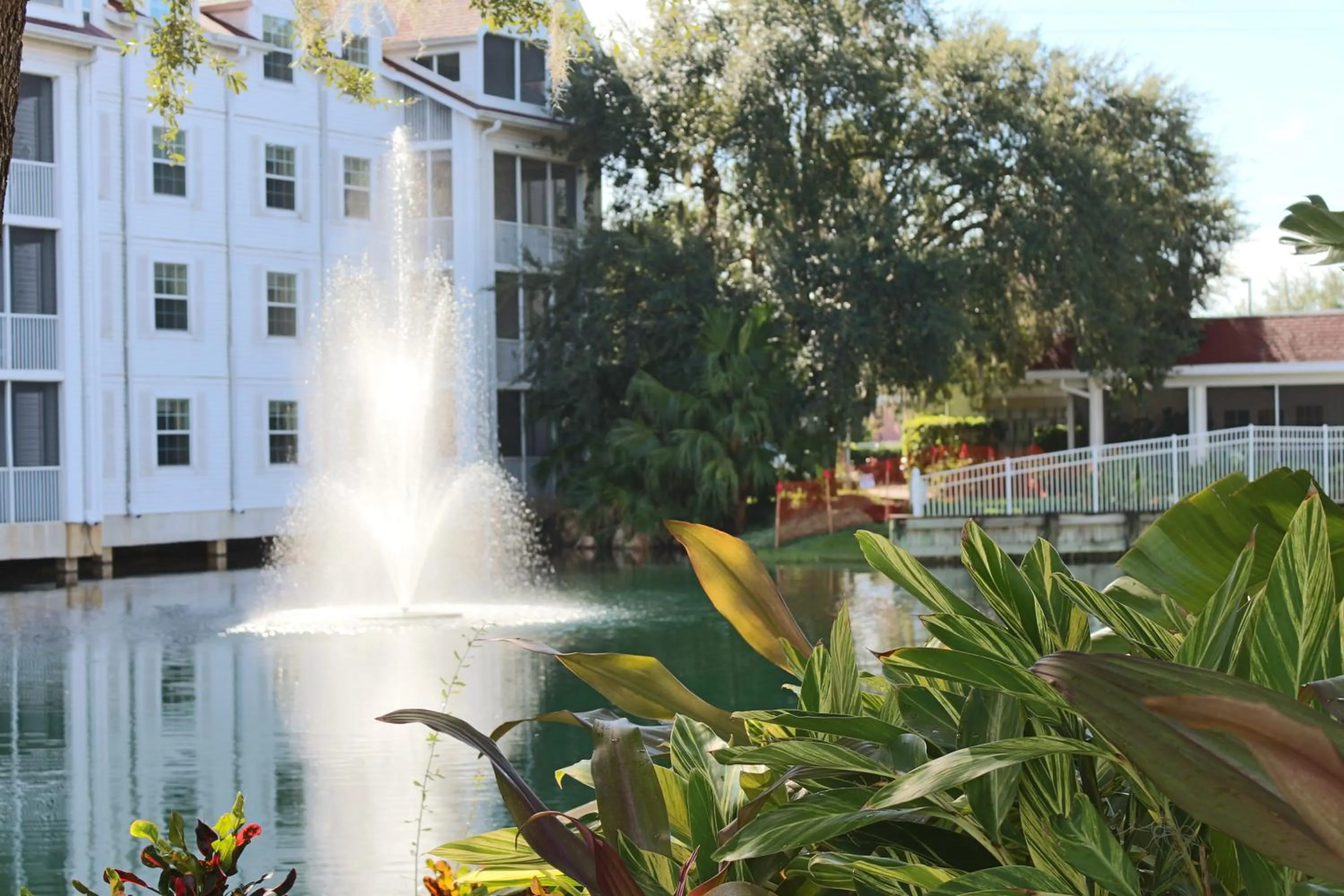 View (from property/room) in Hilton Vacation Club Grand Beach Orlando
