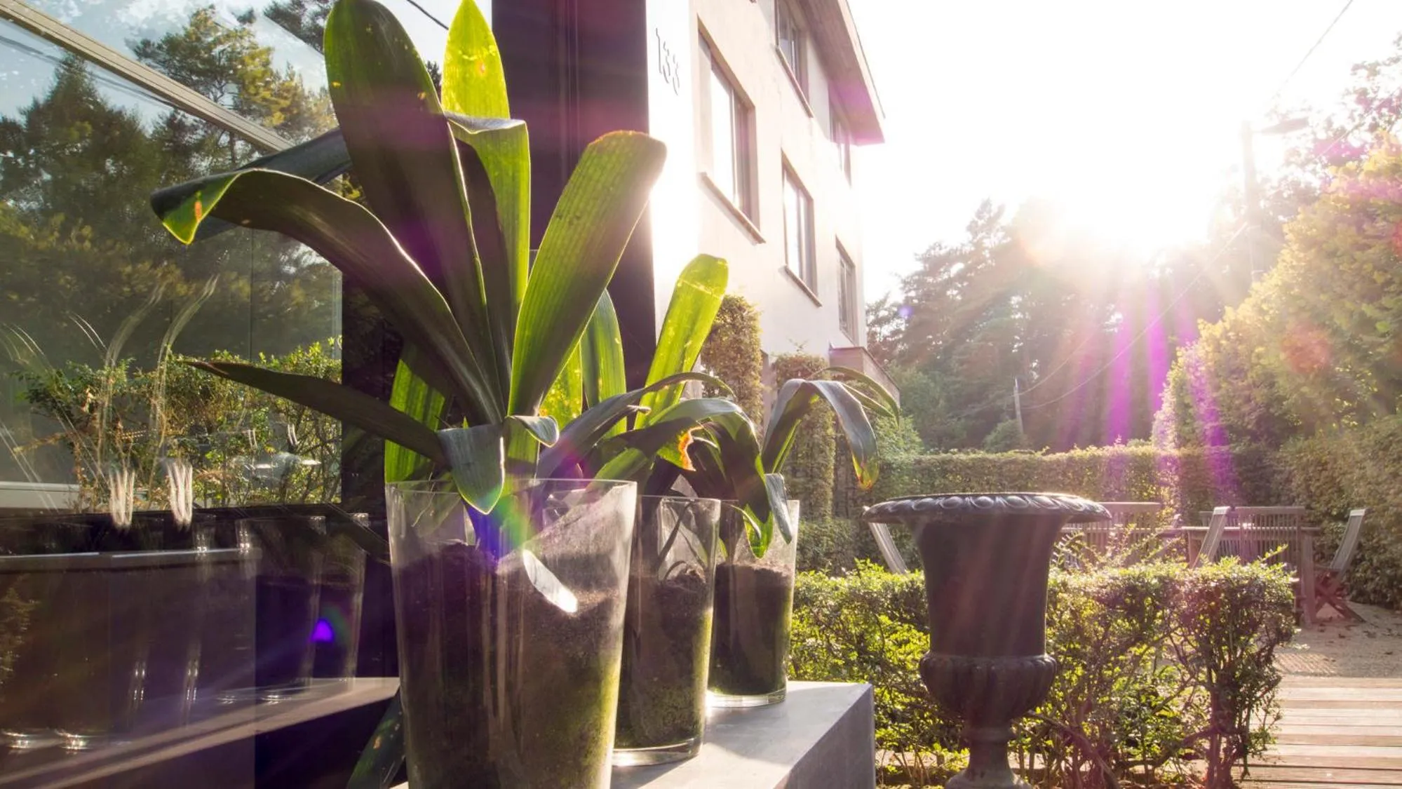 Spring in Domein Martinus