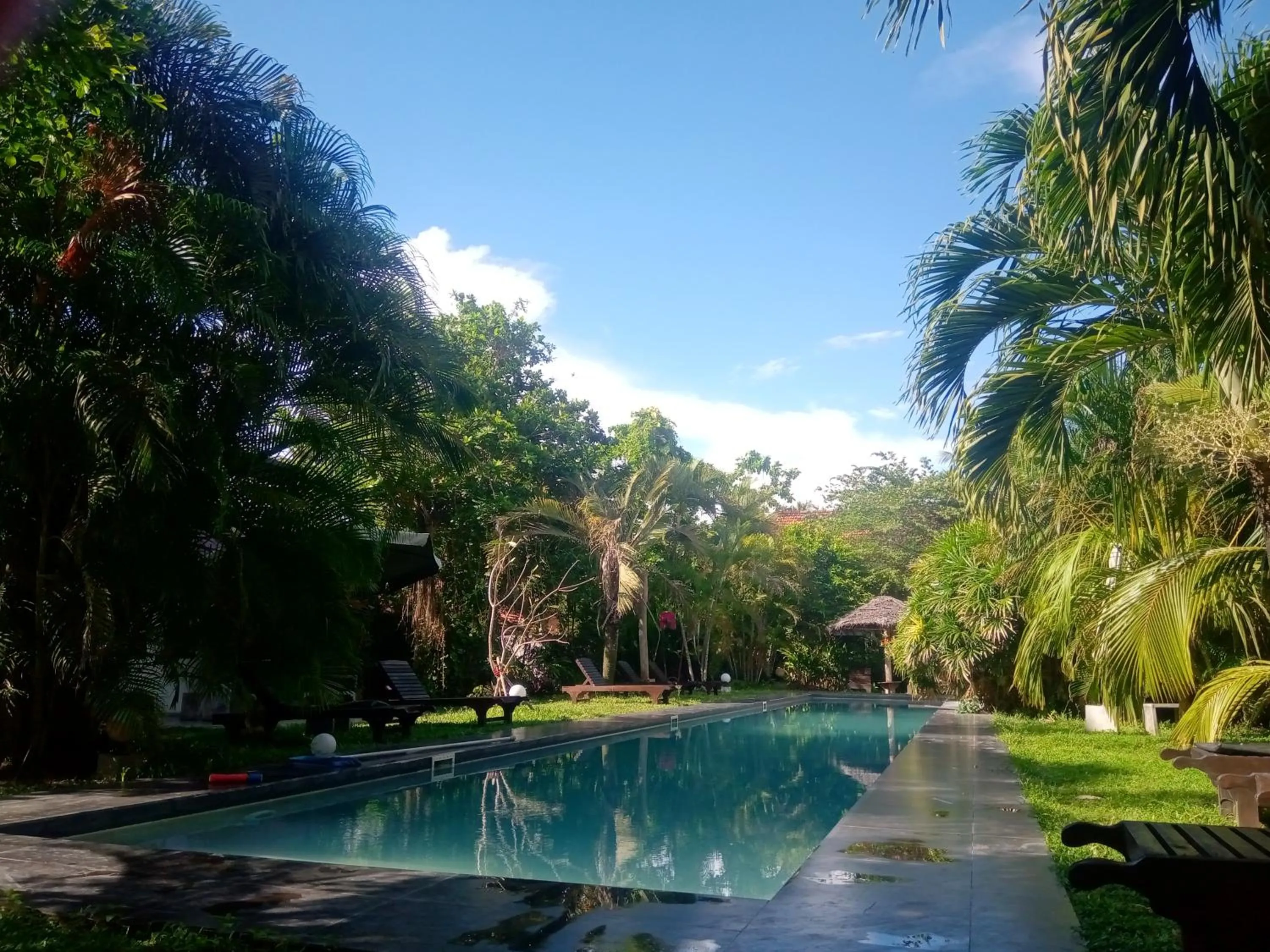 Swimming pool in Turtle Eco Beach